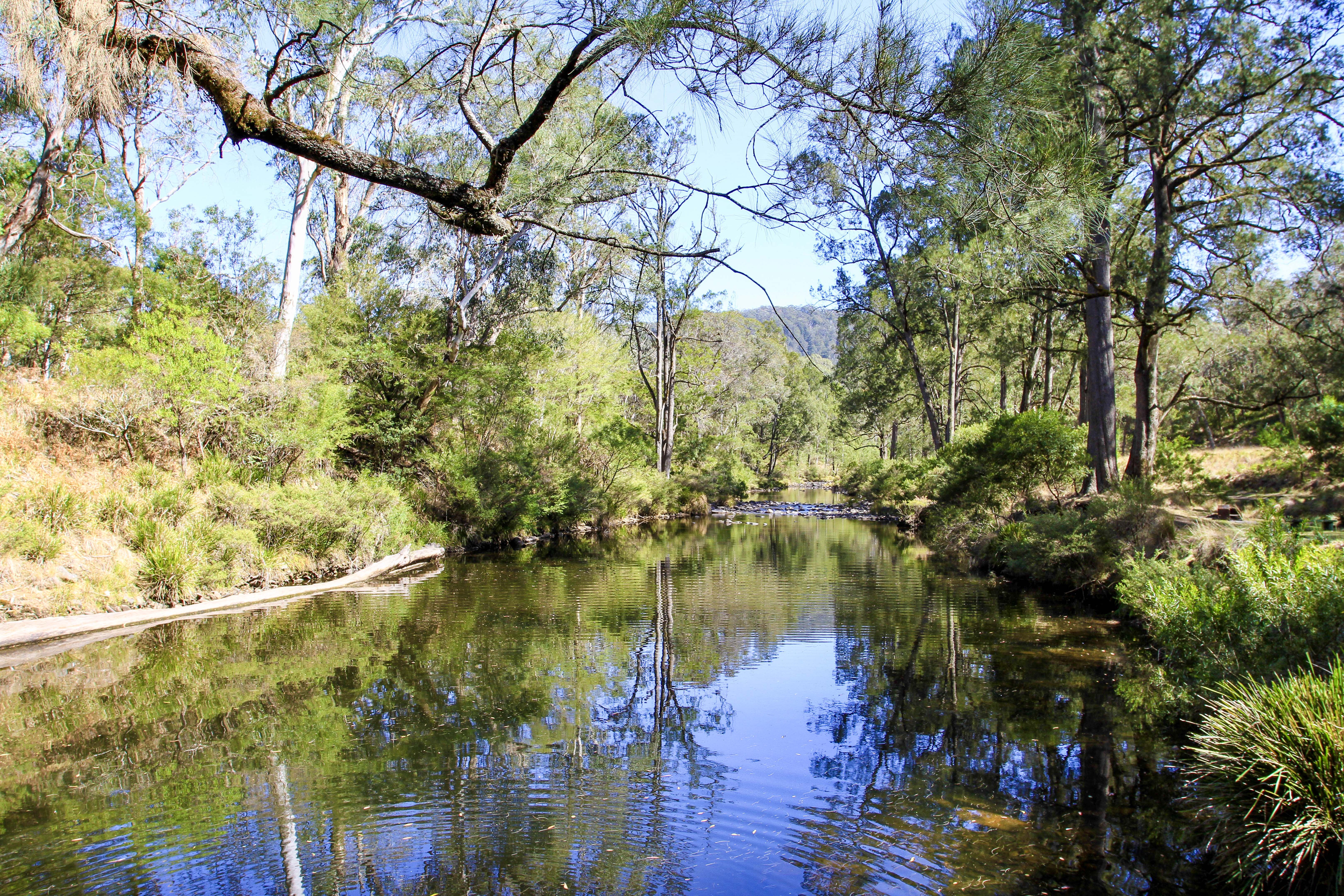 46cc1e5a/4x4 australia explore oxley wild national park styx river jpg