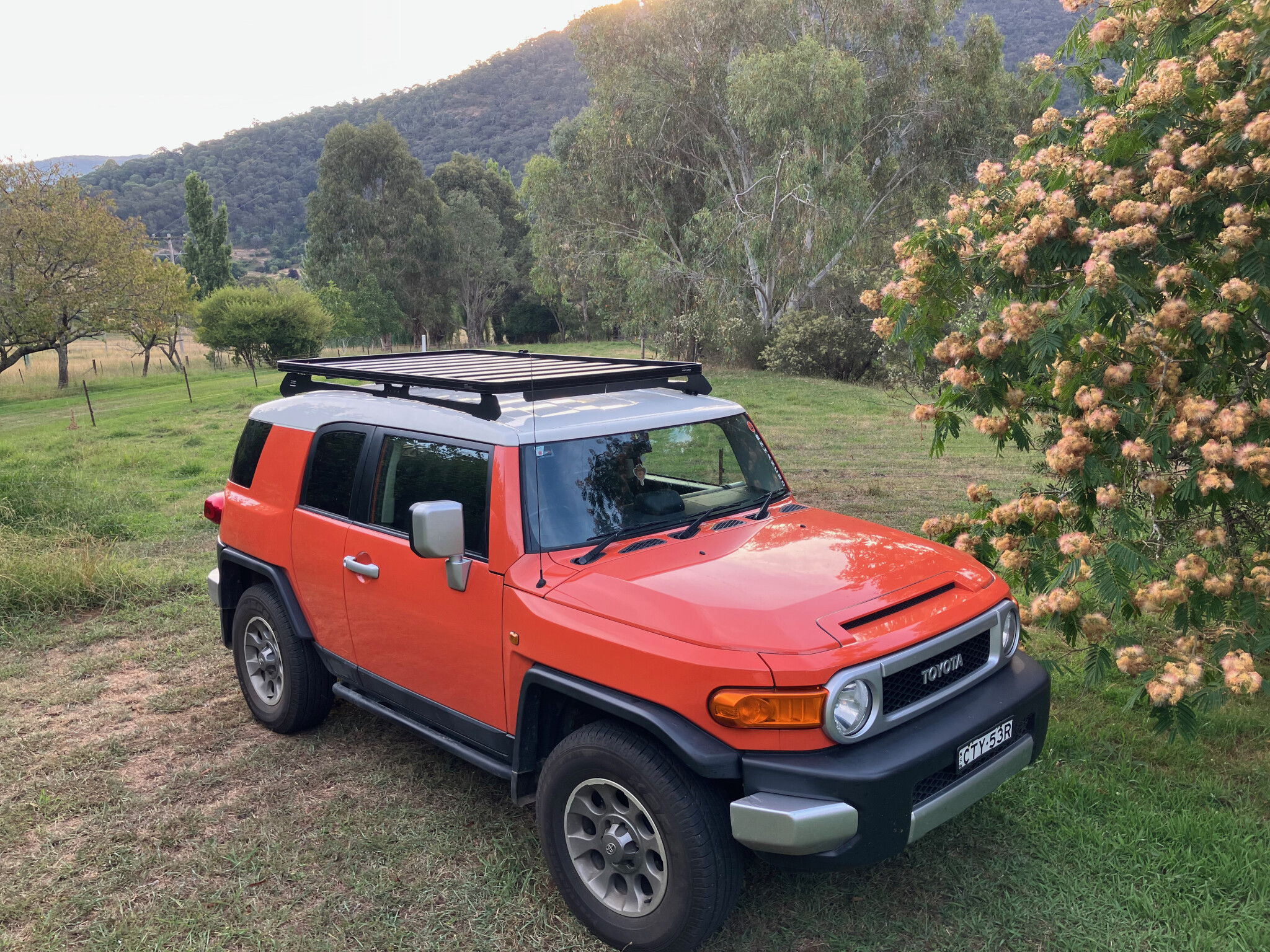 Roof Racks Buyers' Guide