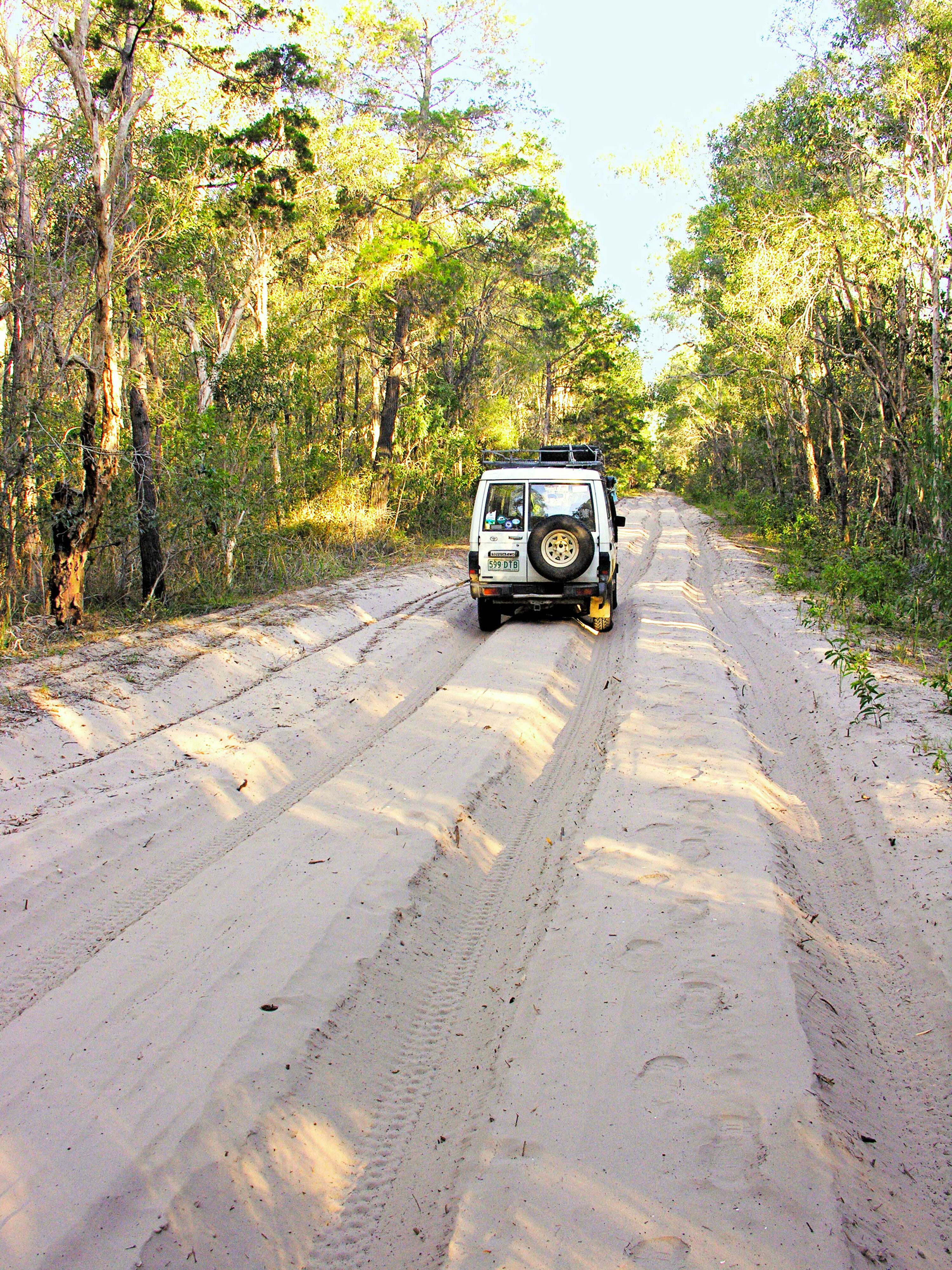 3c880db3/burrum coast 4 jpg