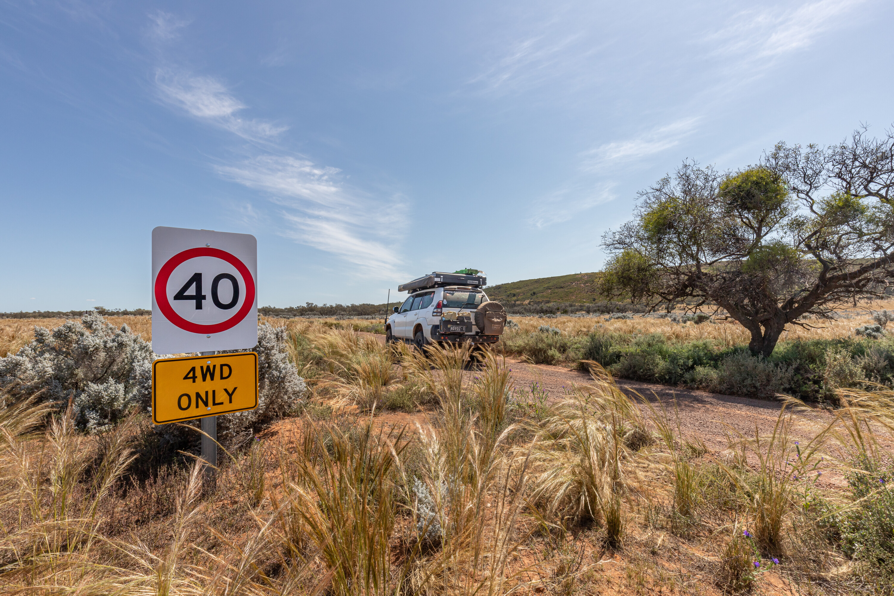 880b0f3c/gawler ranges np 16 jpg