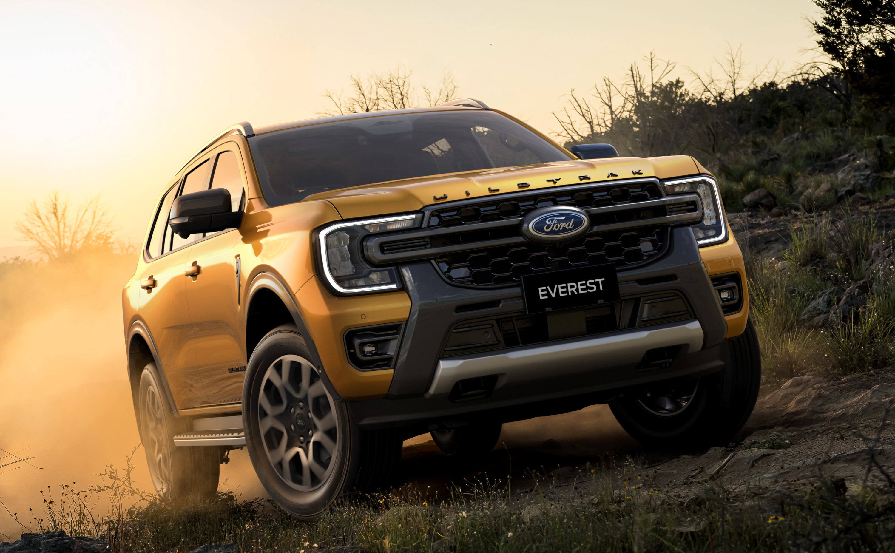 2024 Ford Everest Wildtrak review