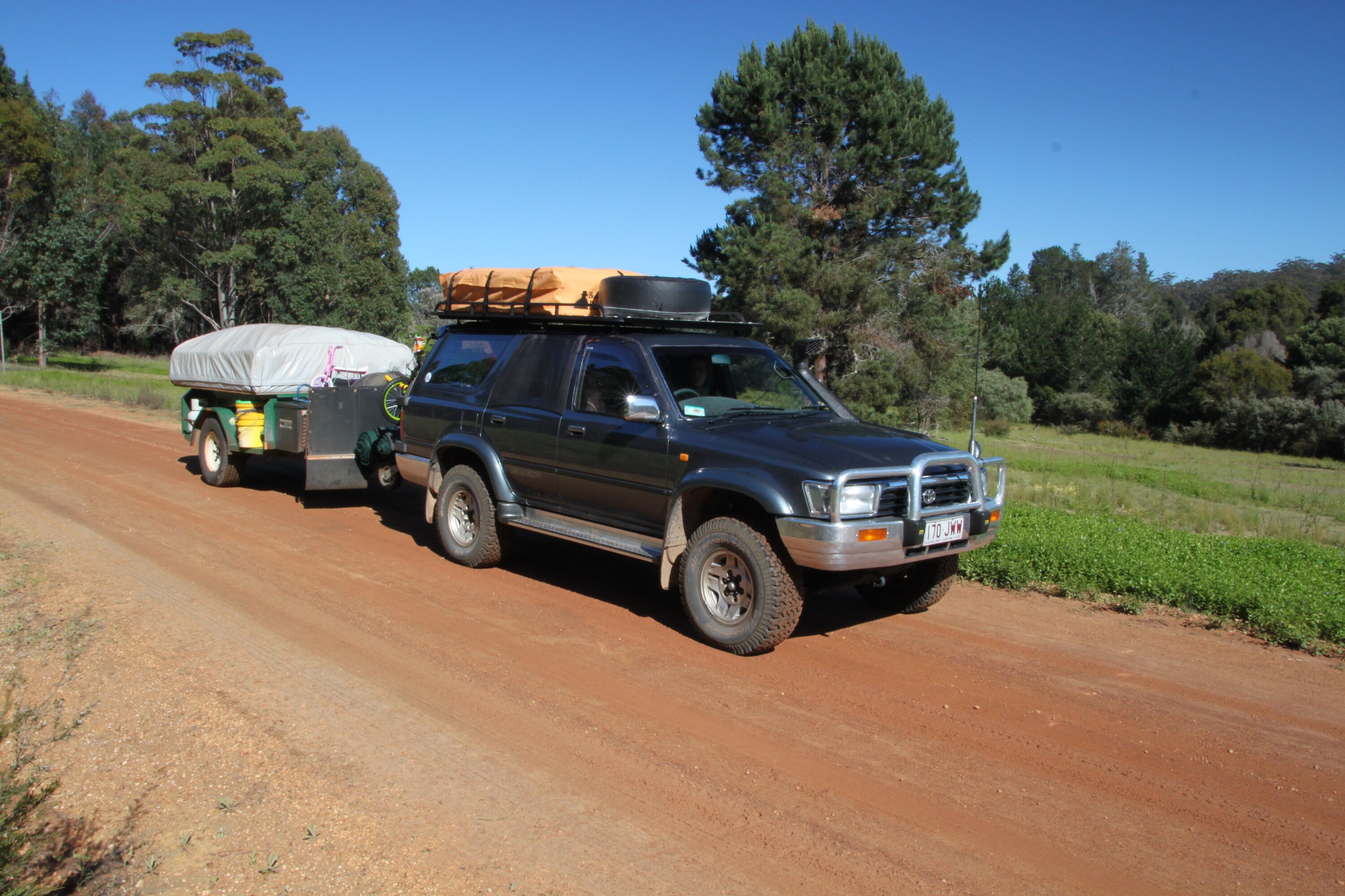 dced1119/shannon national park 1 JPG