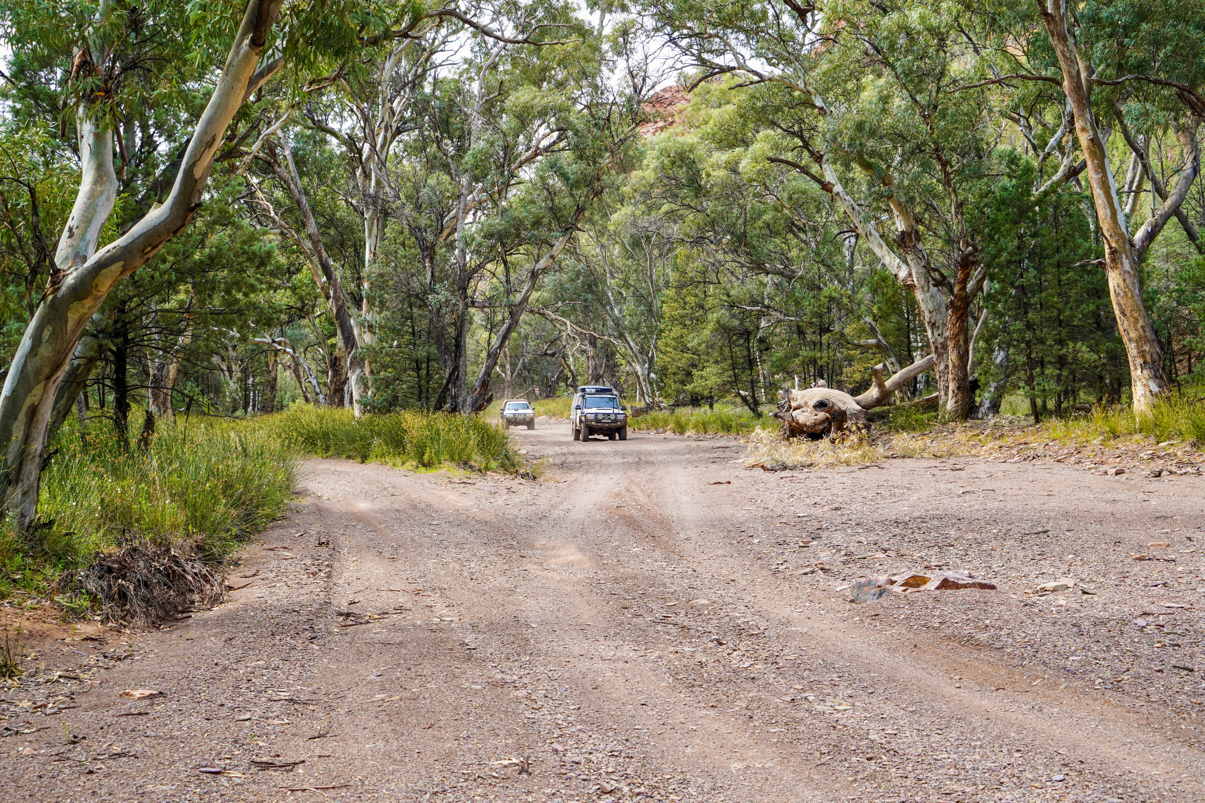 046f1d11/flinders ranges hof015 creek bed drive thru hannigan gap jpg