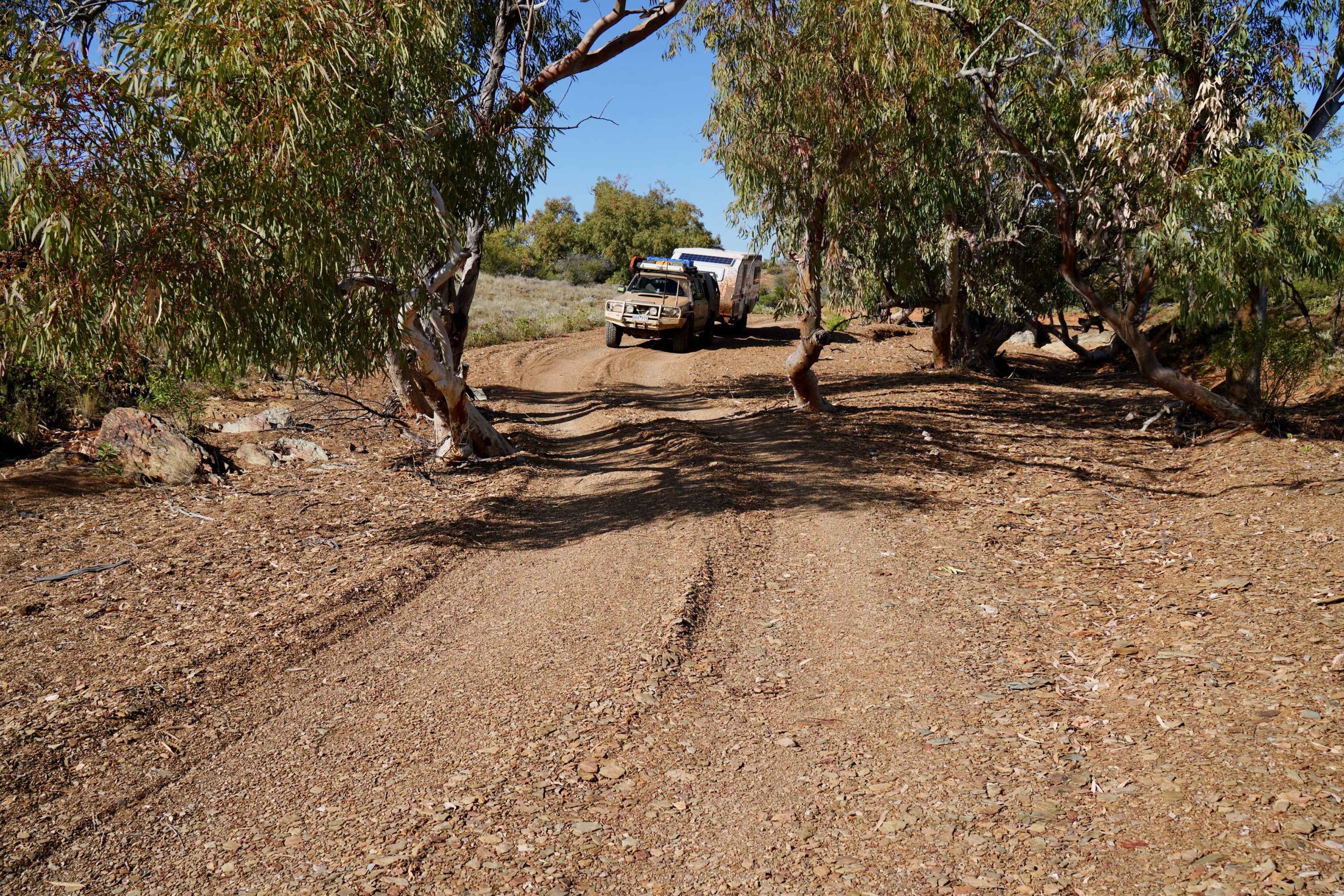 062e253a/4x4 australia explore cooper creek sa ttc024 track follows the creek for miles jpg