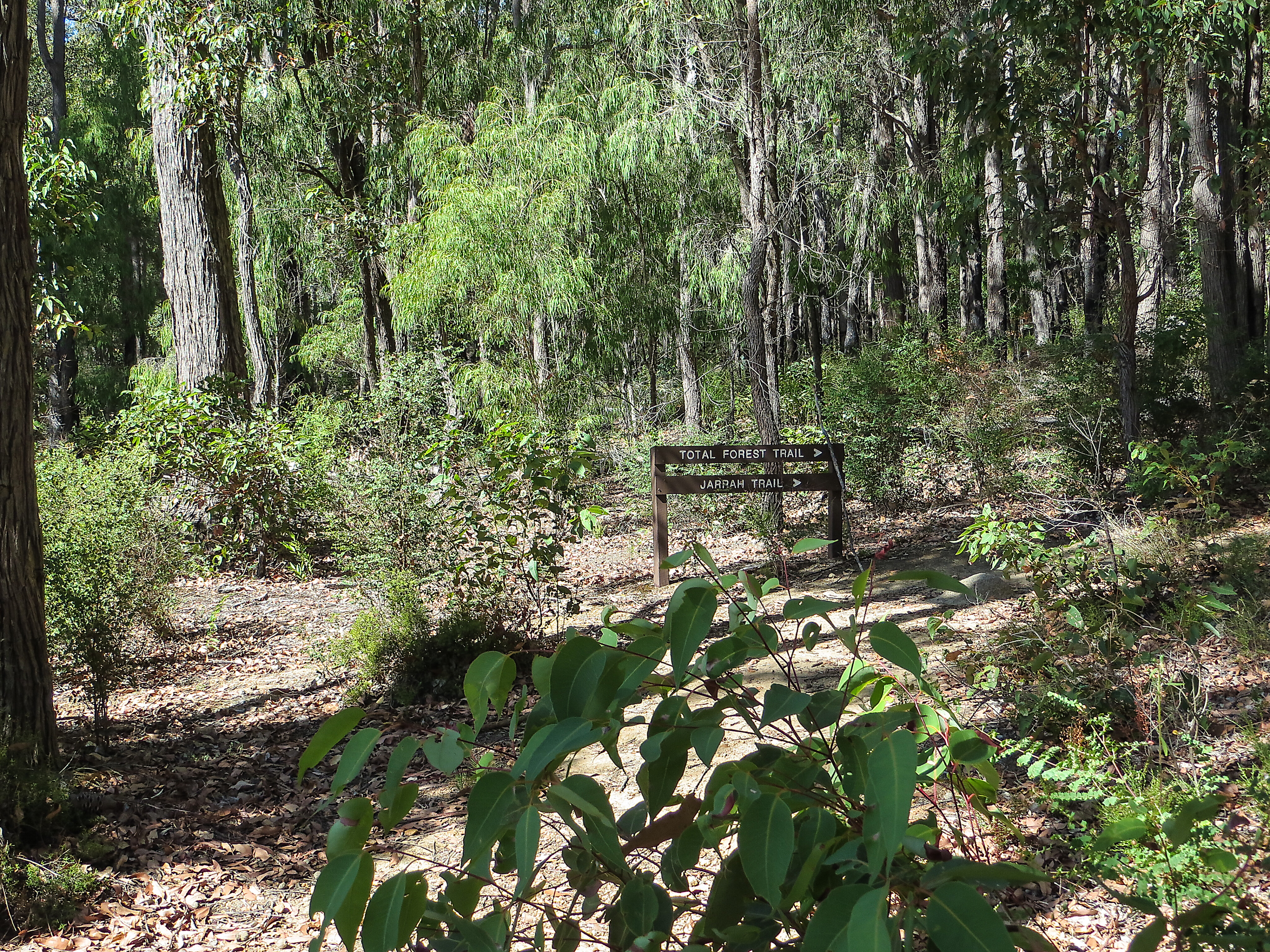 1fef1266/wellington national park 3 jpg