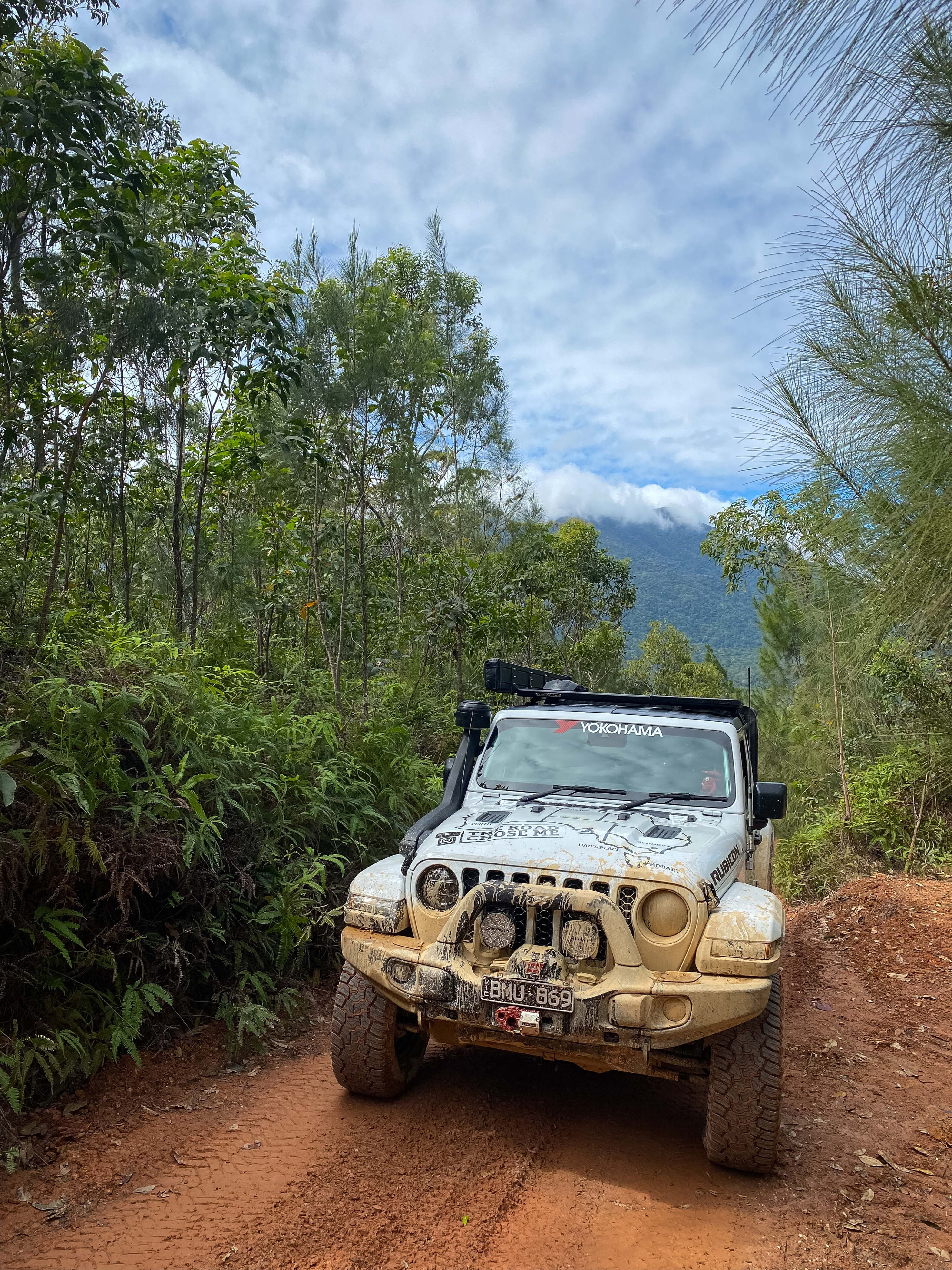 220c16c8/trcm cape york creb track jungle climb jpg