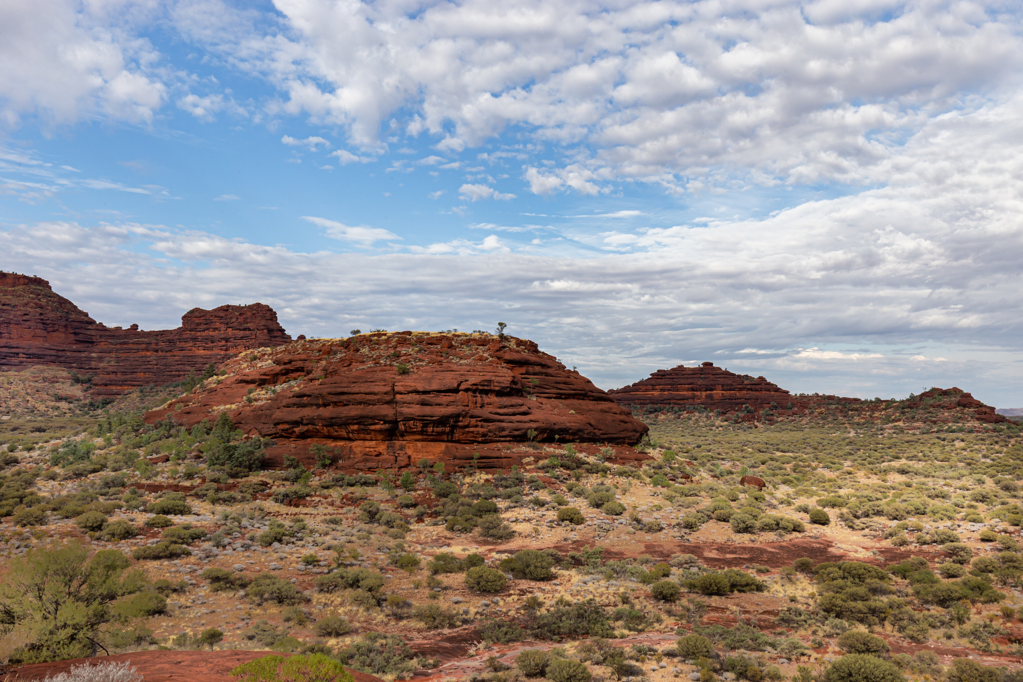 32171752/palm valley the scenery is outstanding jpg