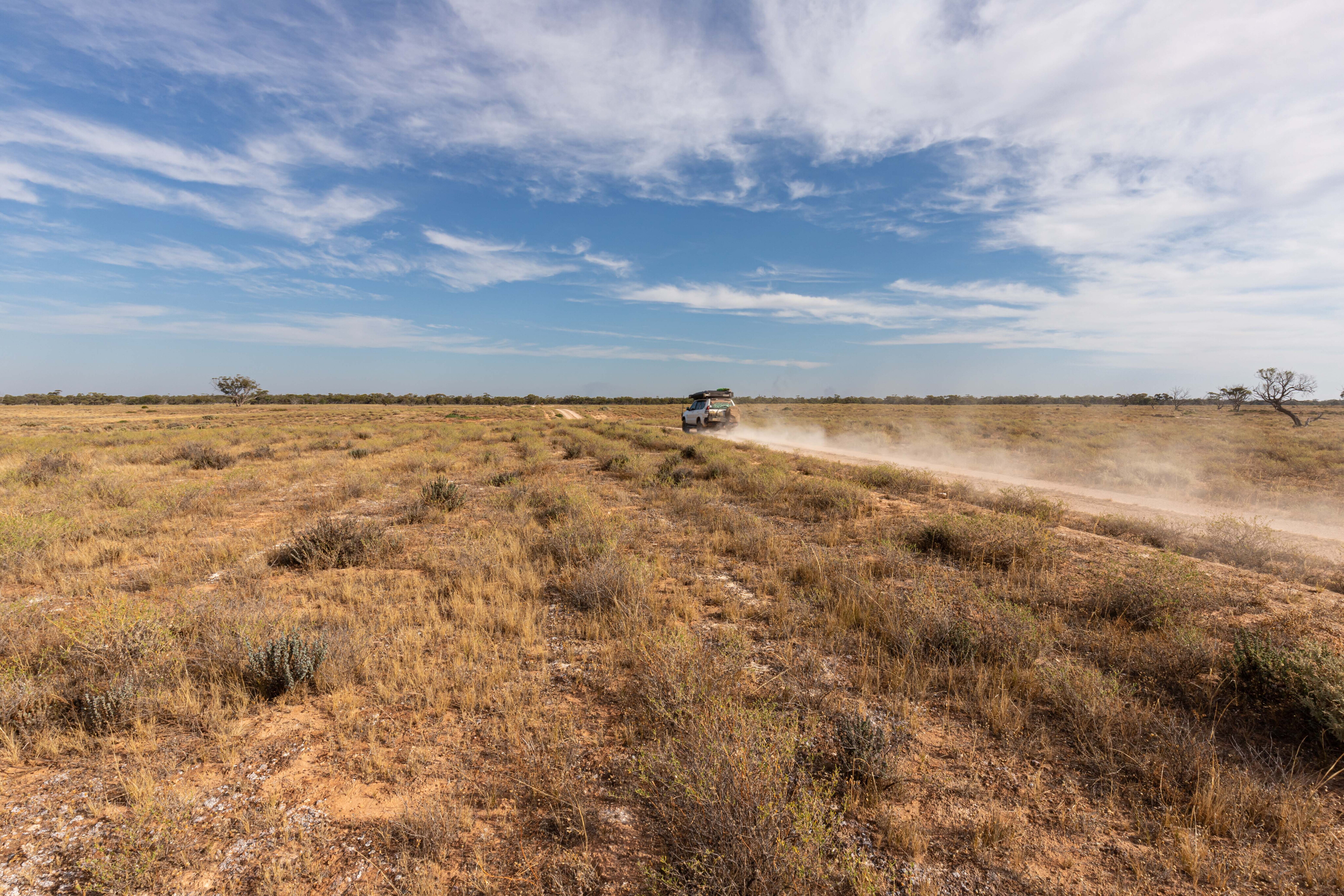 43c62108/usuallly you ll spot plenty of enus and kangaroos on copi plains jpg