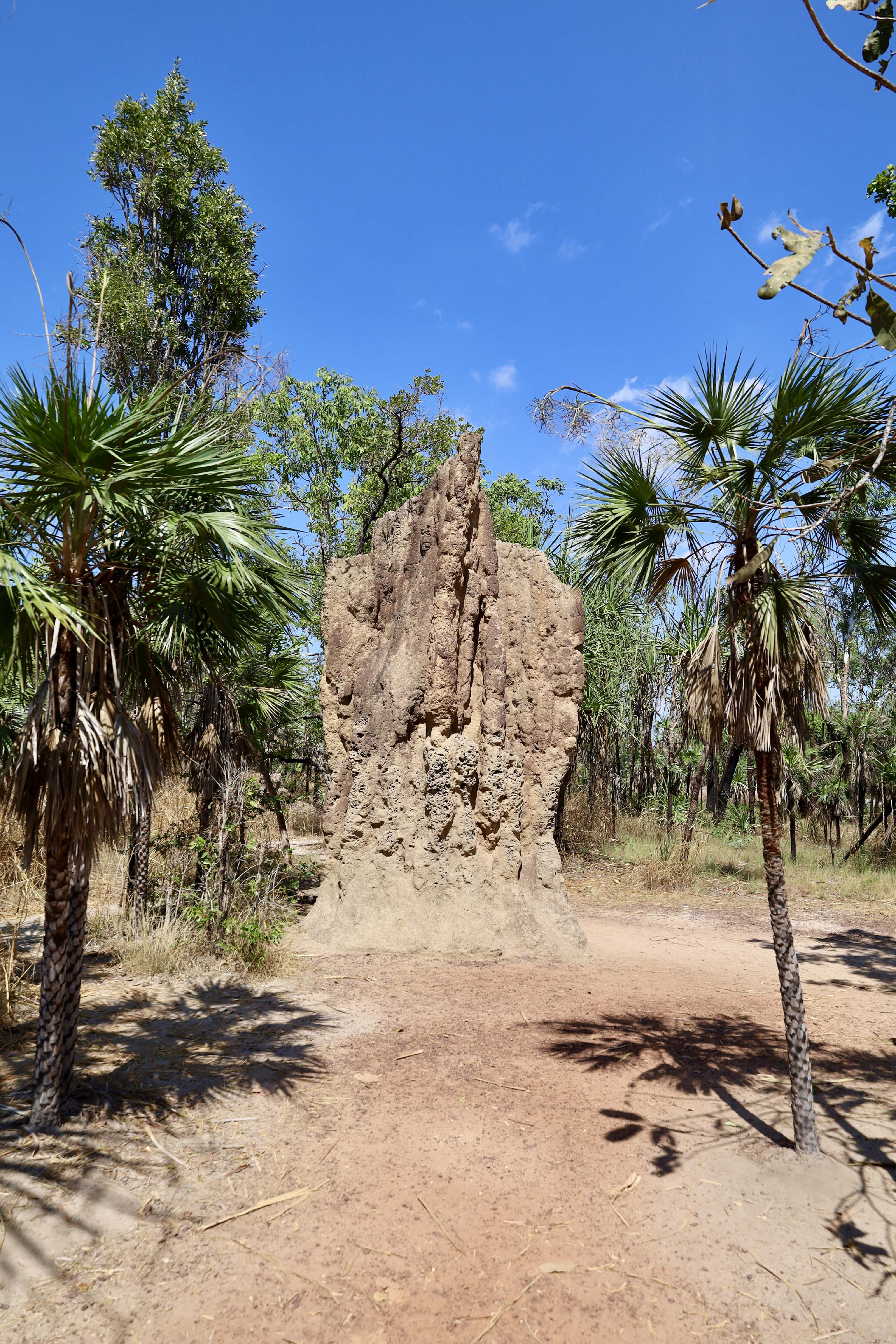 4a331b2d/cathedral termite mound litchfield national park jpg