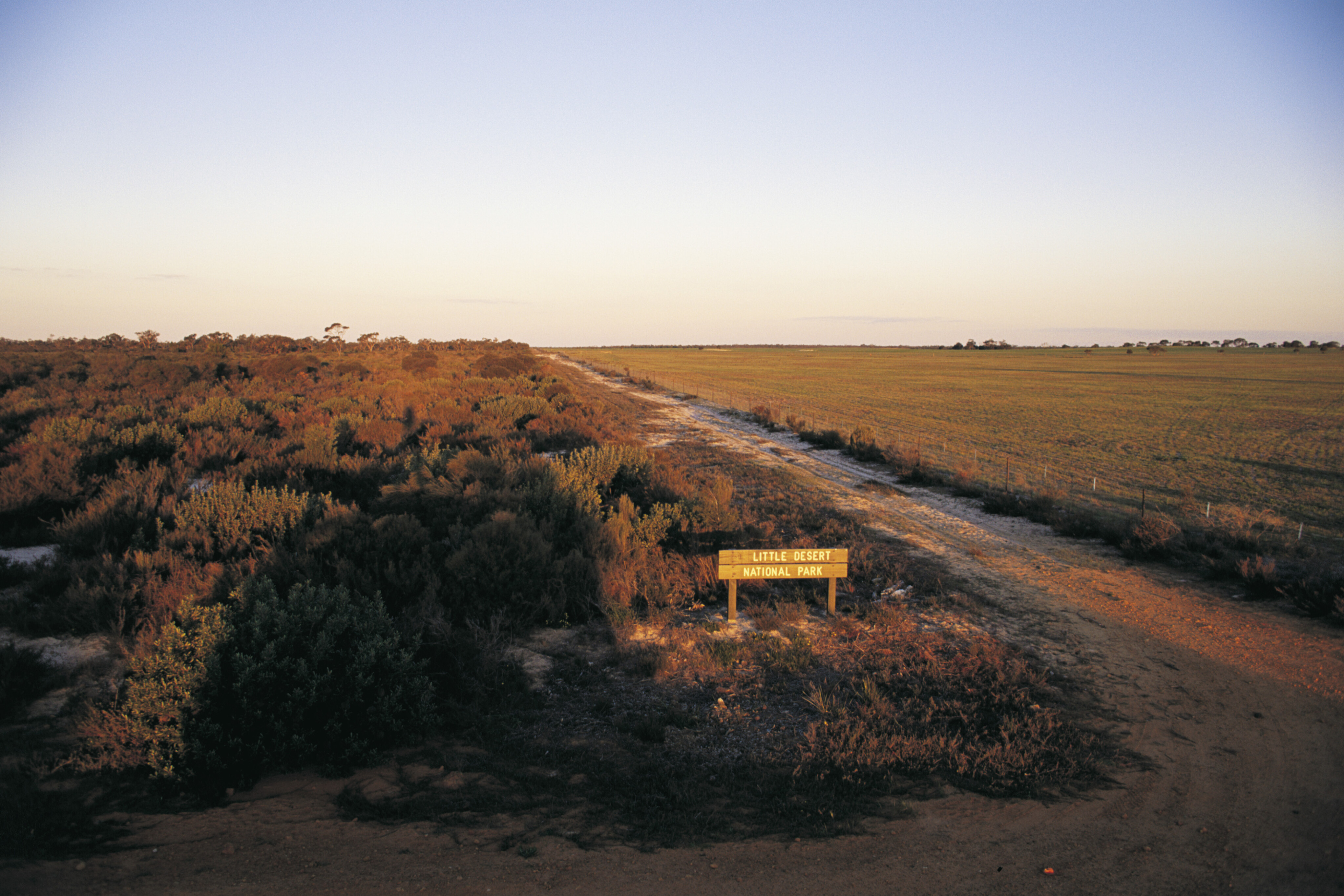 5975136a/little desert national park 4 jpg