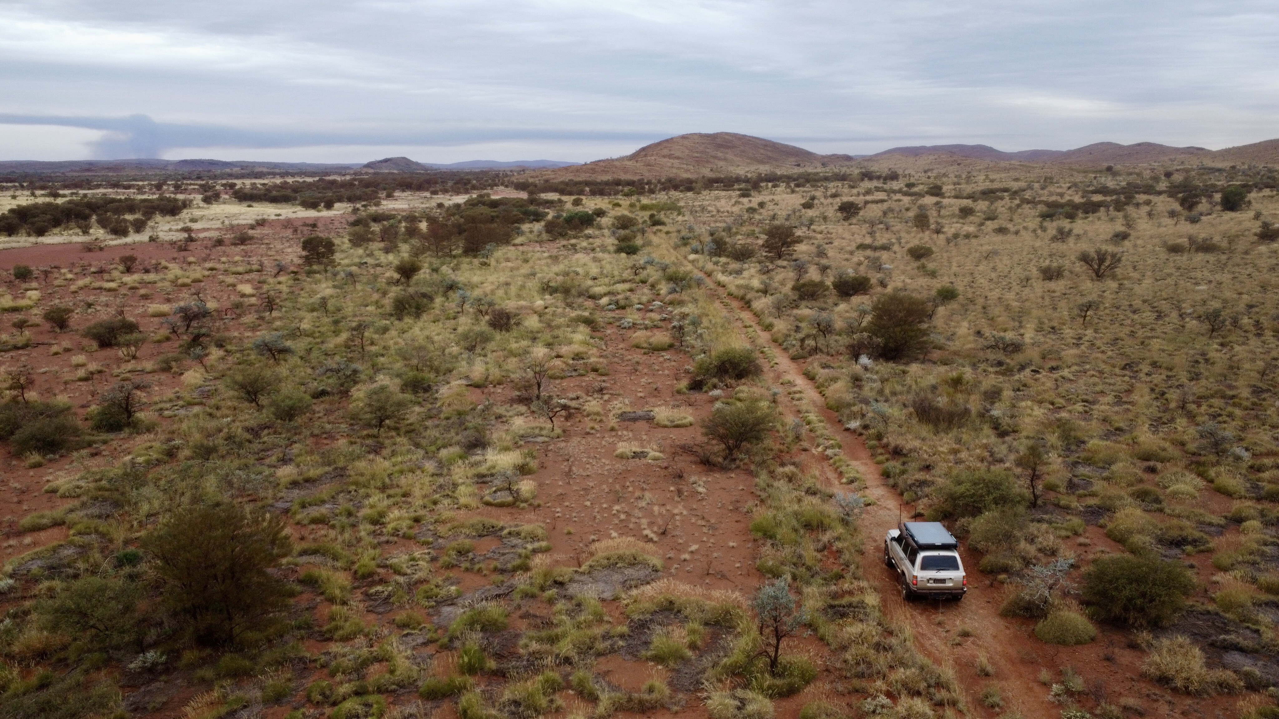 71461841/heading through millstream millstream np JPG