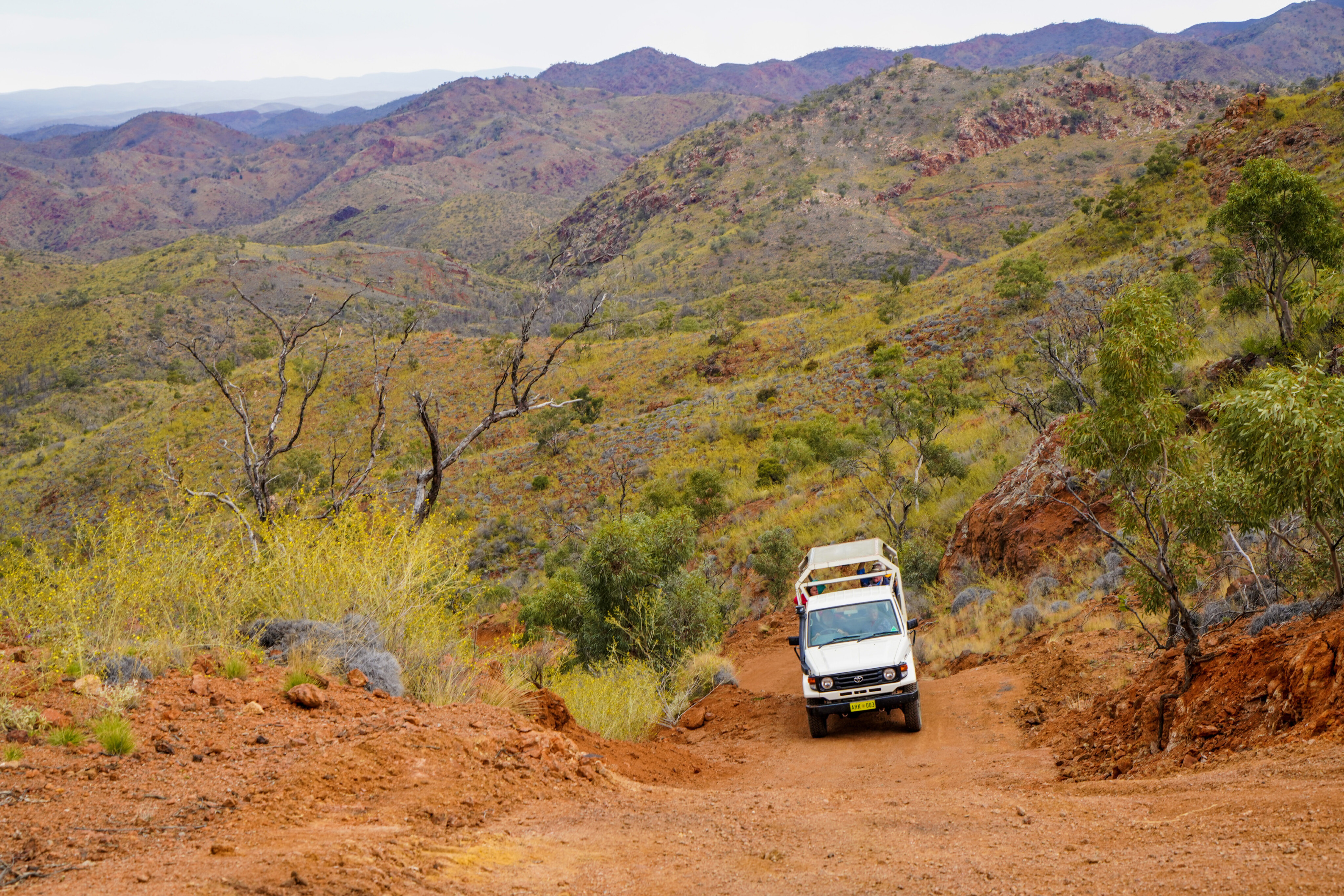 74dc1b62/flinders ranges hof001 thru the ranges at arkaroola jpg