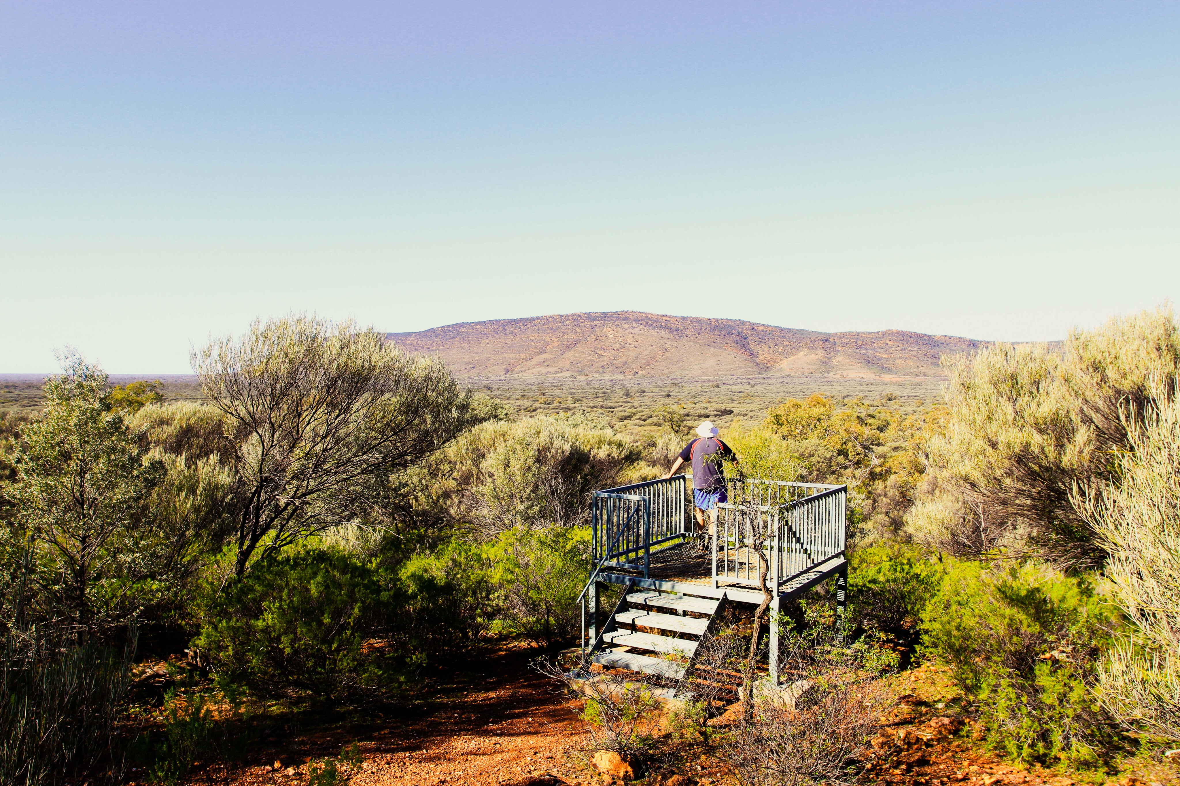 770b21b7/4x4 australia explore gundabooka nsw viewing pont to mt gundabooka jpg