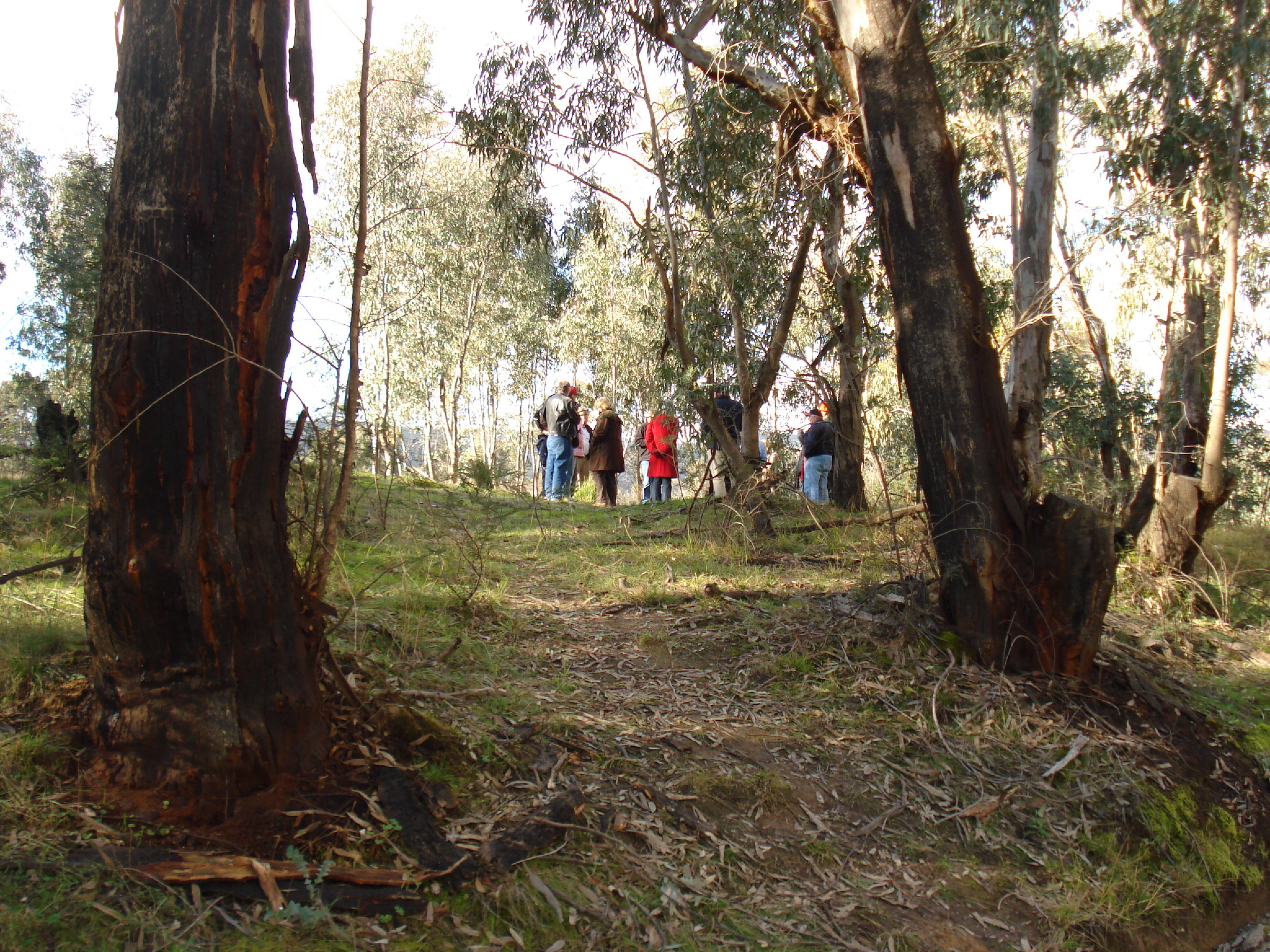 7f5e1838/kelly 22 historians at sherritt s hut site JPG