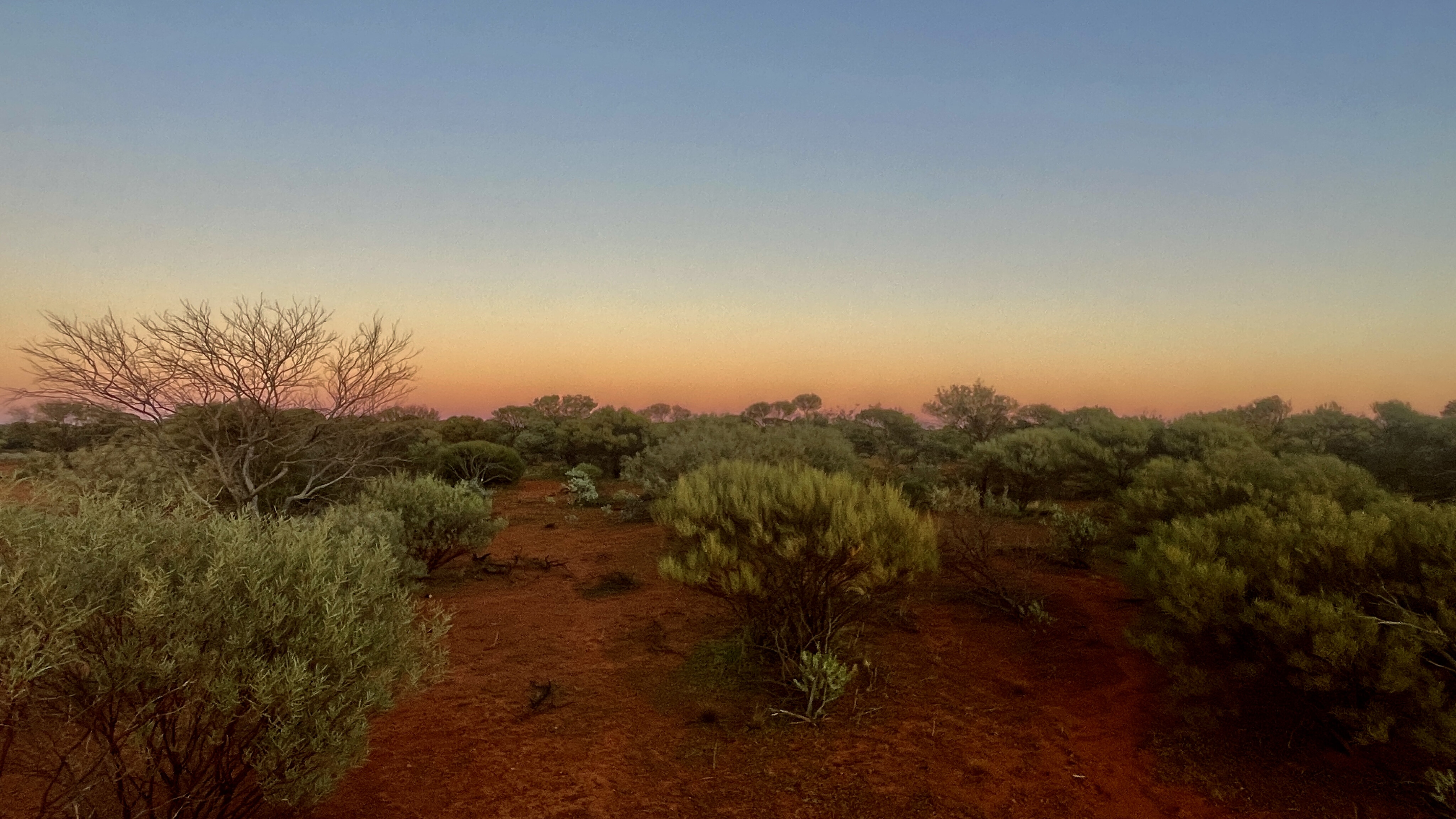 8a9b147b/golden outback sunset camp glow JPG