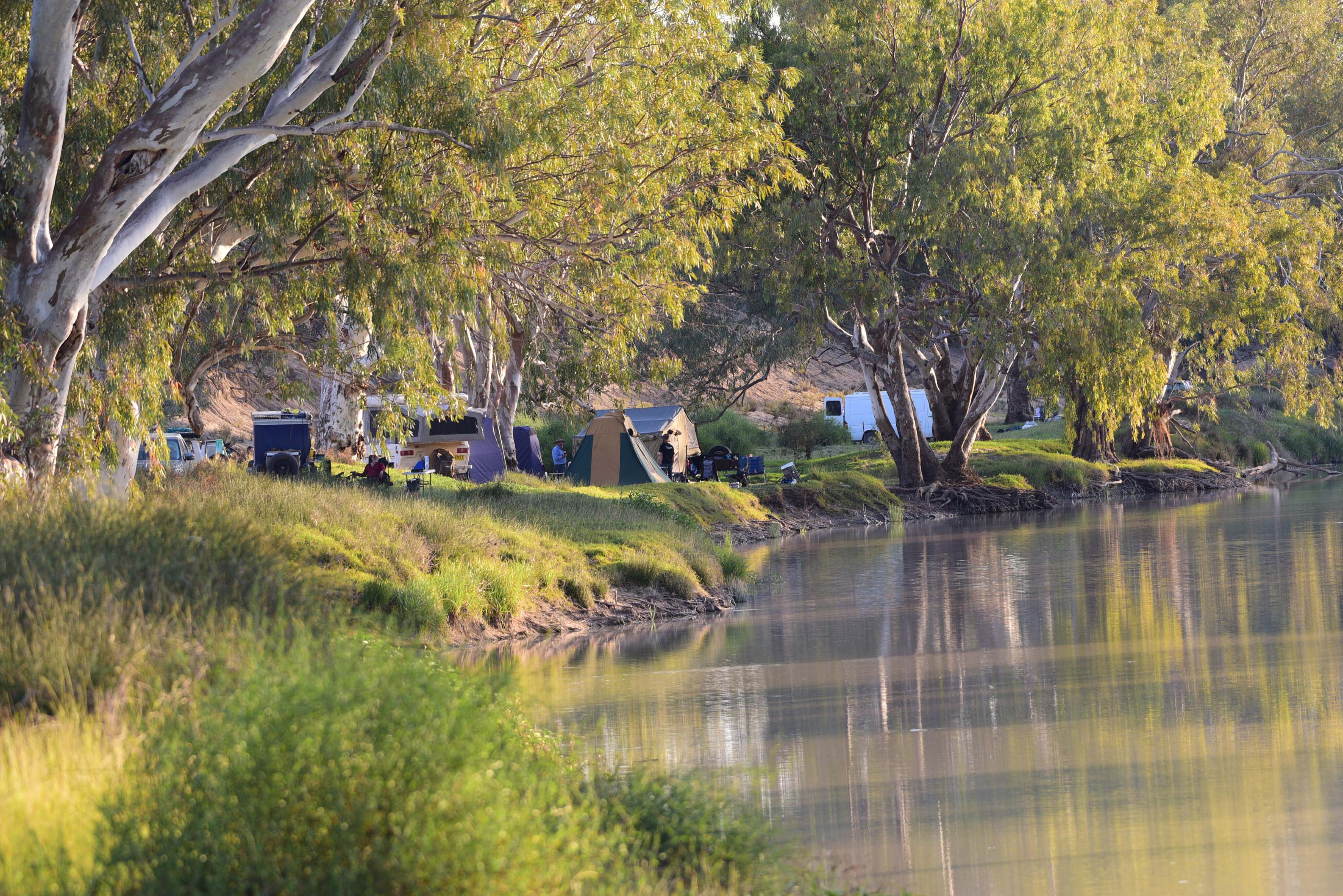 92122416/4x4 australia explore cooper creek sa ttc043 idyllic camps along the cooper jpg