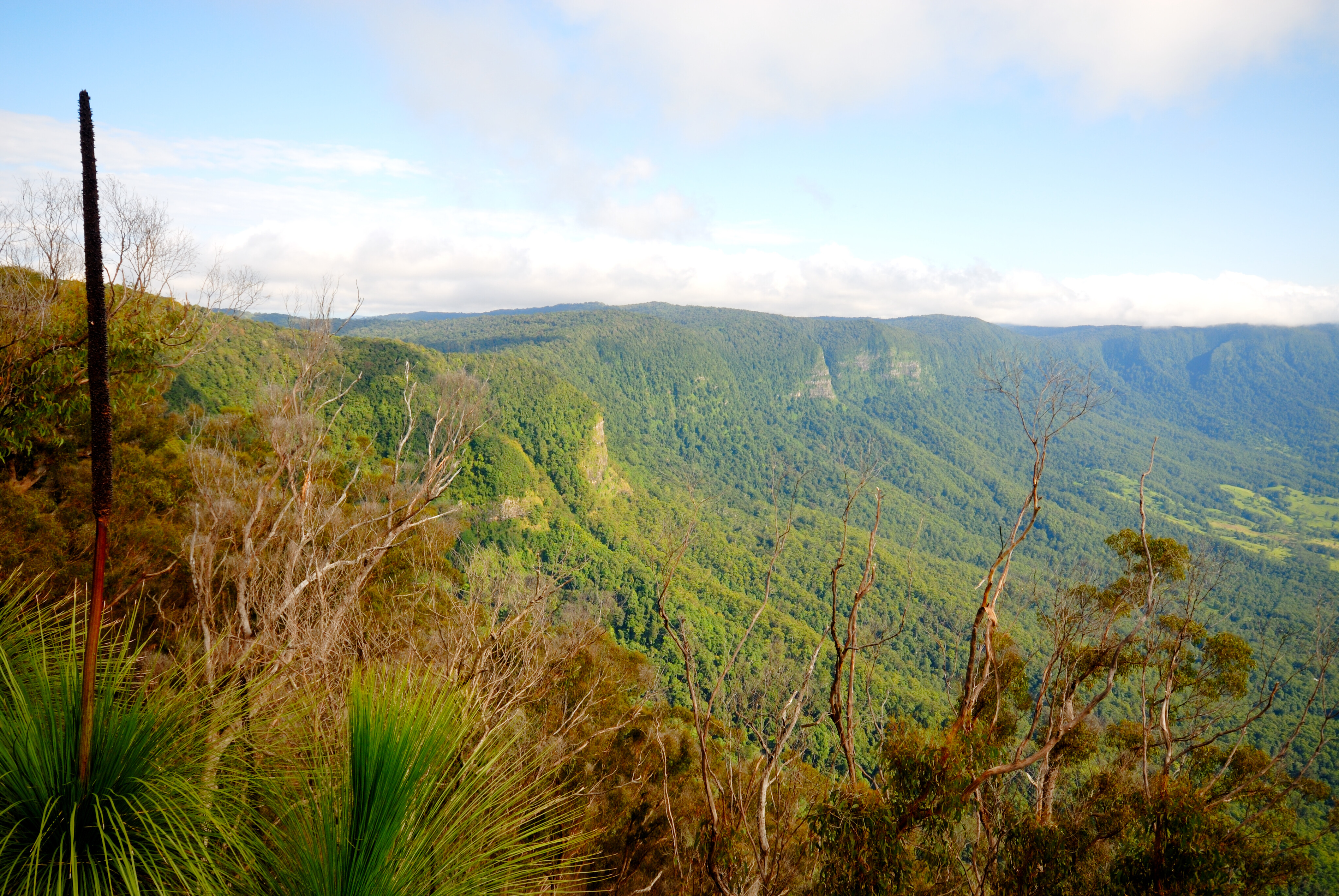 98431482/border ranges brisbane escapes 5 jpg