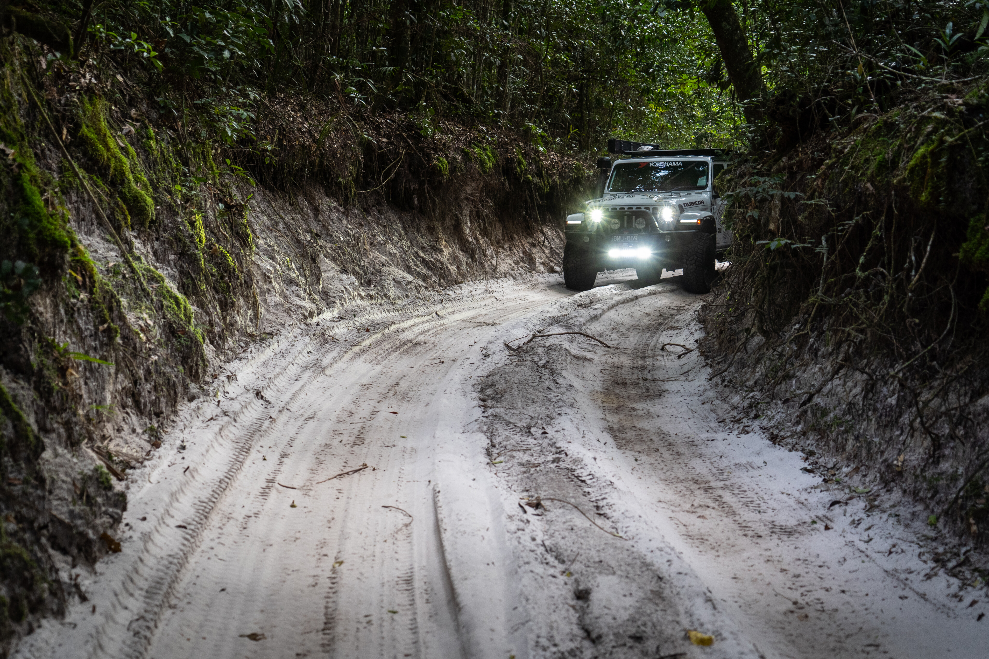 a3132208/trcm fraser island inland tracks forestk gari explore 4x4 australia jpg