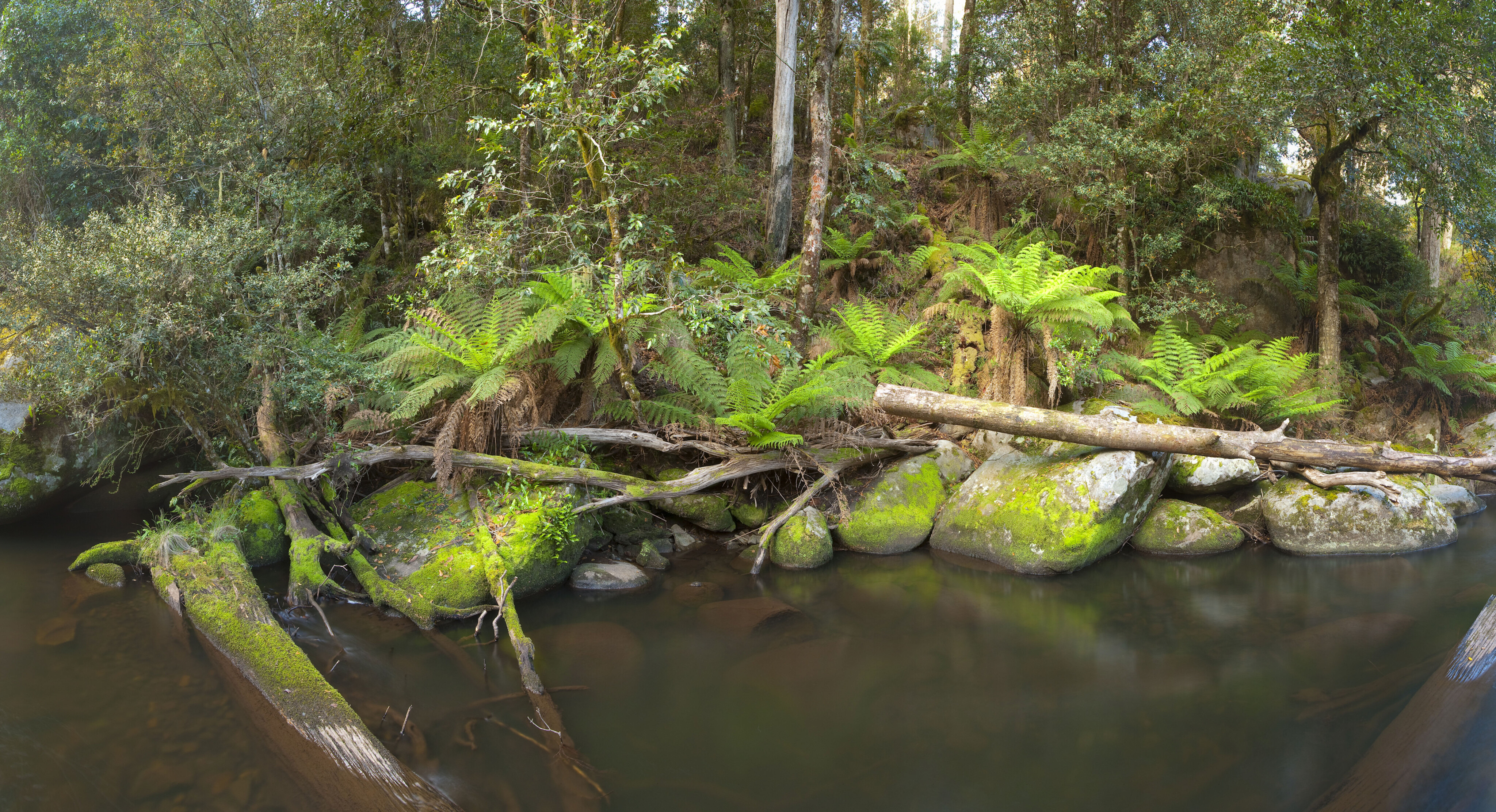 a5371007/barrington tops np 1 jpg