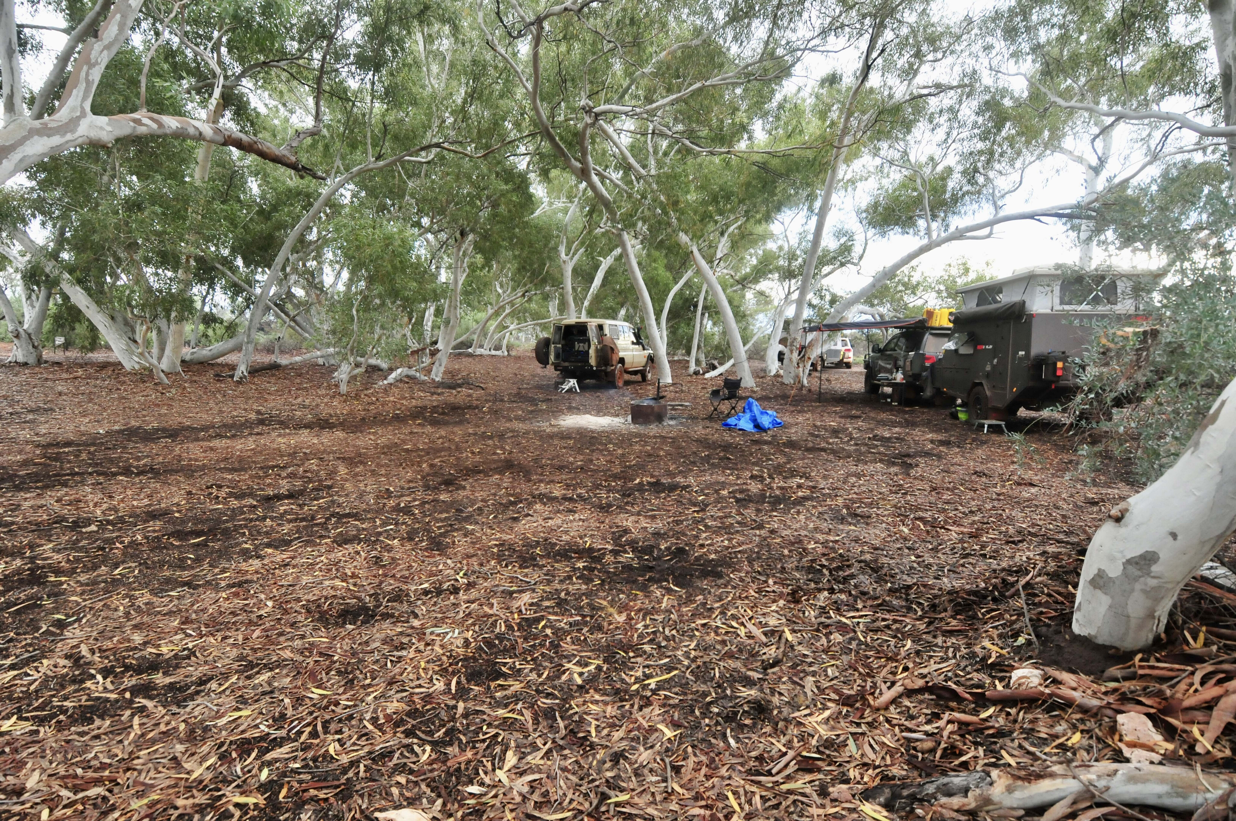 a77d222a/csr006 well 6 offers pleaant camping amongst gums canning stock route jpg