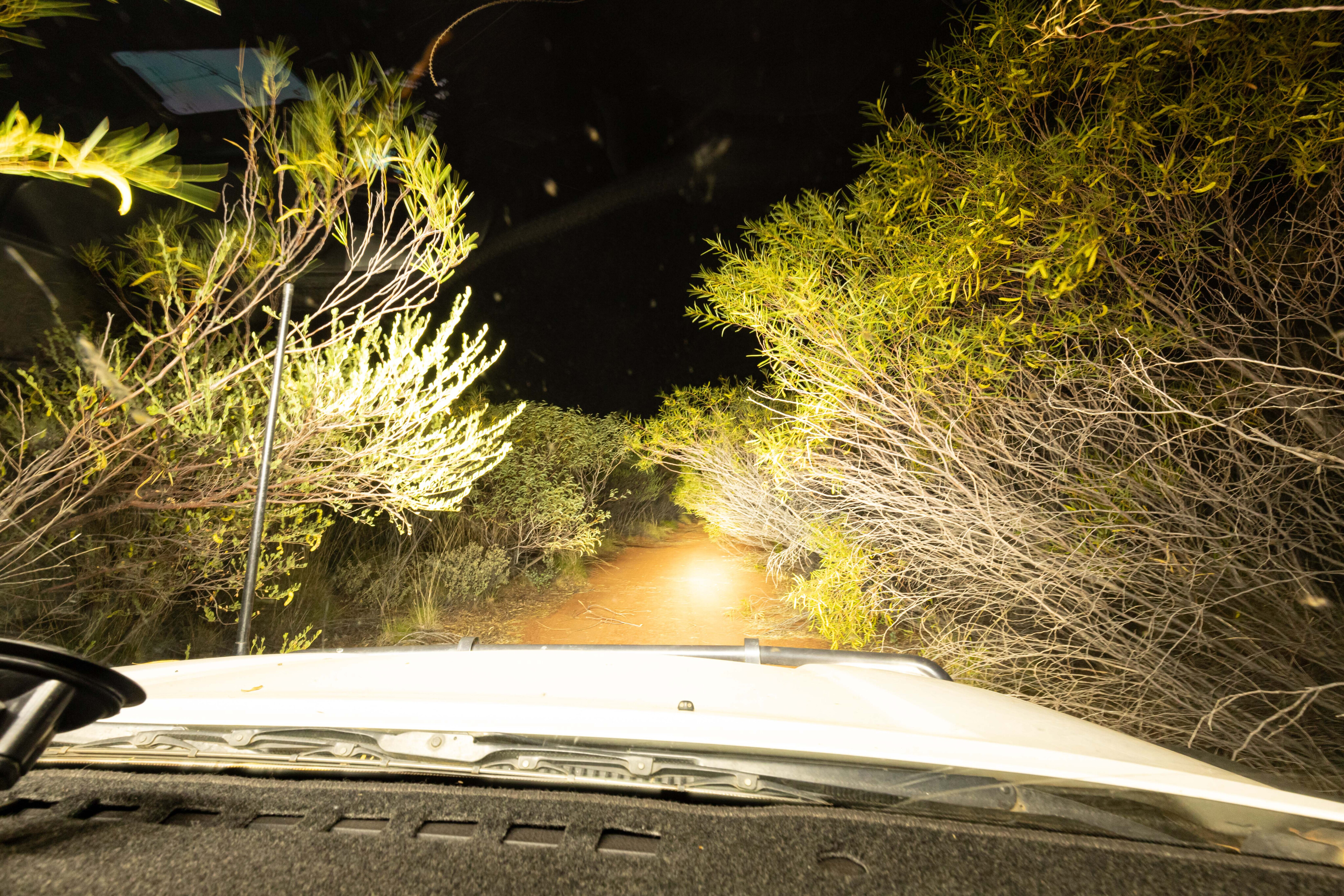 a8b9221d/driving through this at night wasn t fun explore great sandy desert jpg