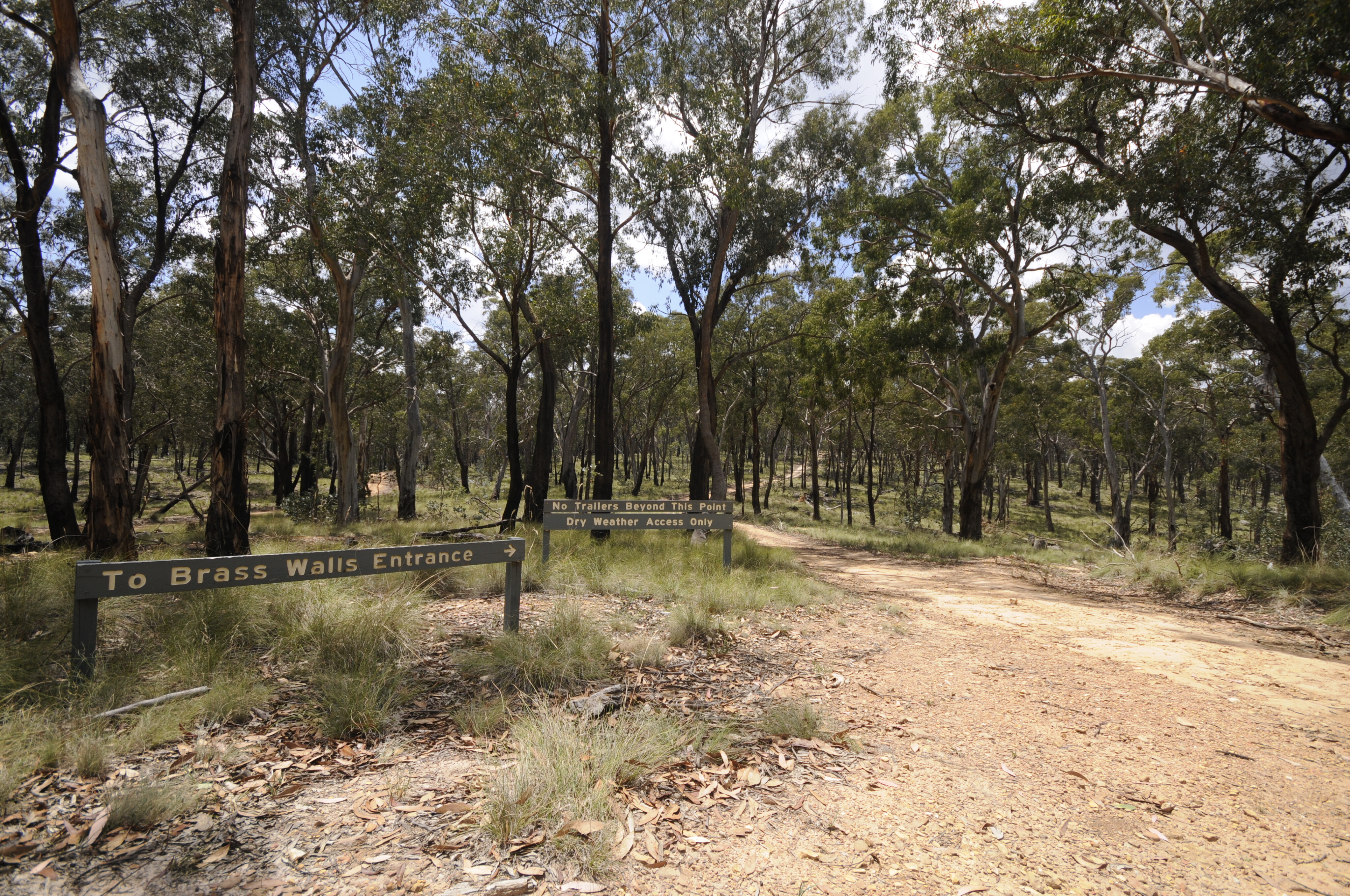 b4e414f9/abercrombie river national park 5 JPG