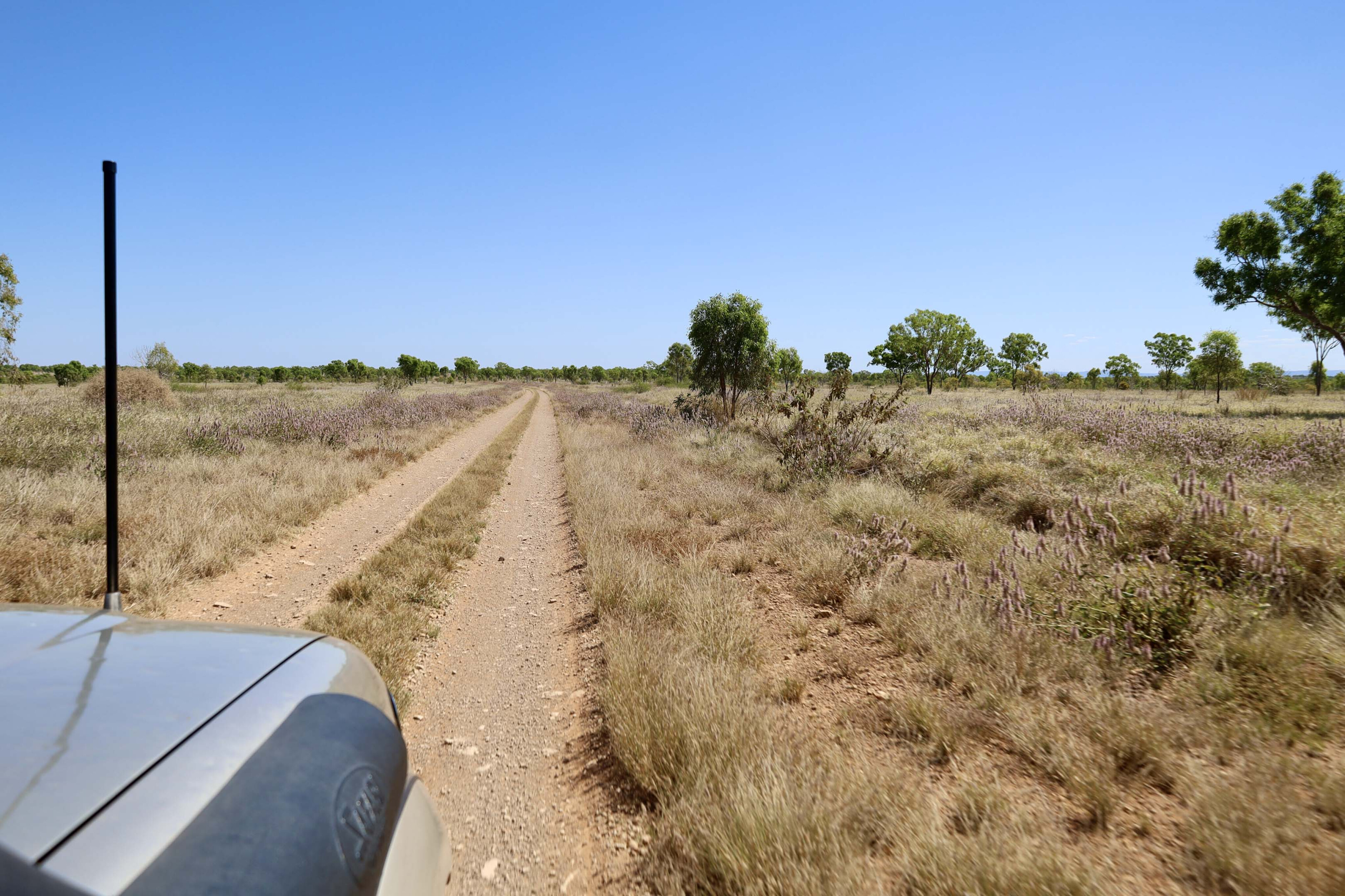 b5251073/tracks off the duncan jpg