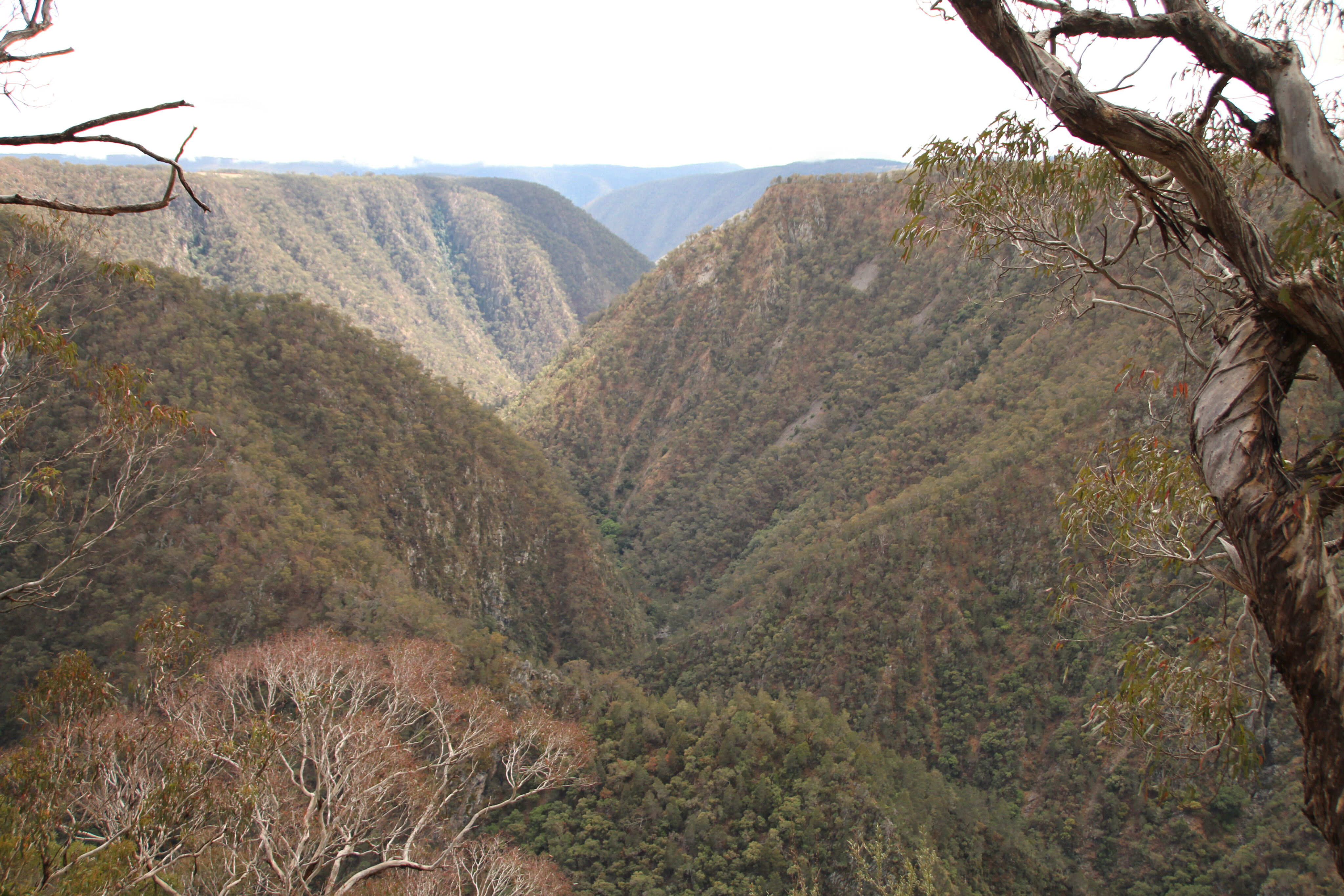 b5dc1503/oxley wild rivers national park 2 JPG