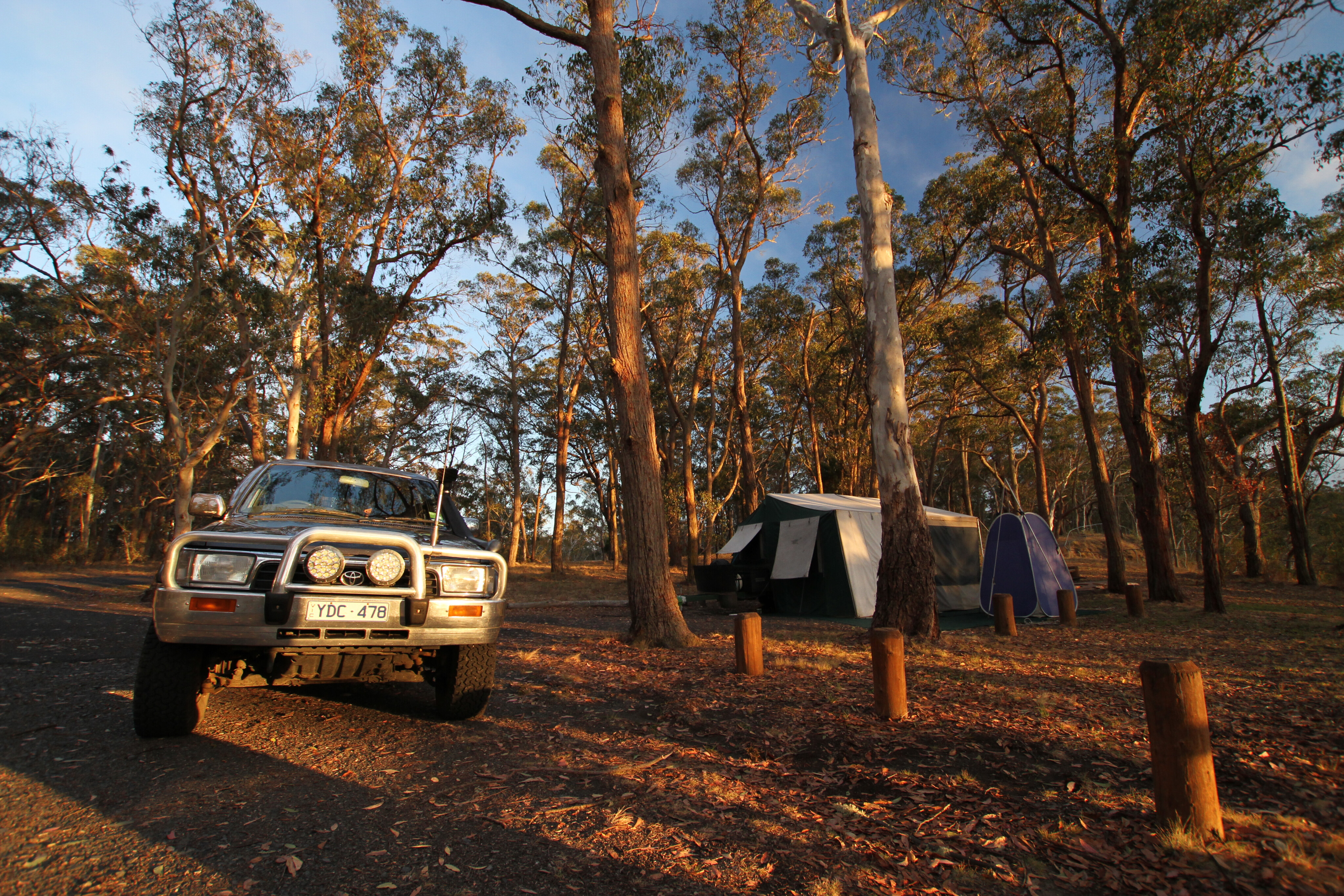 b5f91508/oxley wild rivers national park 3 JPG