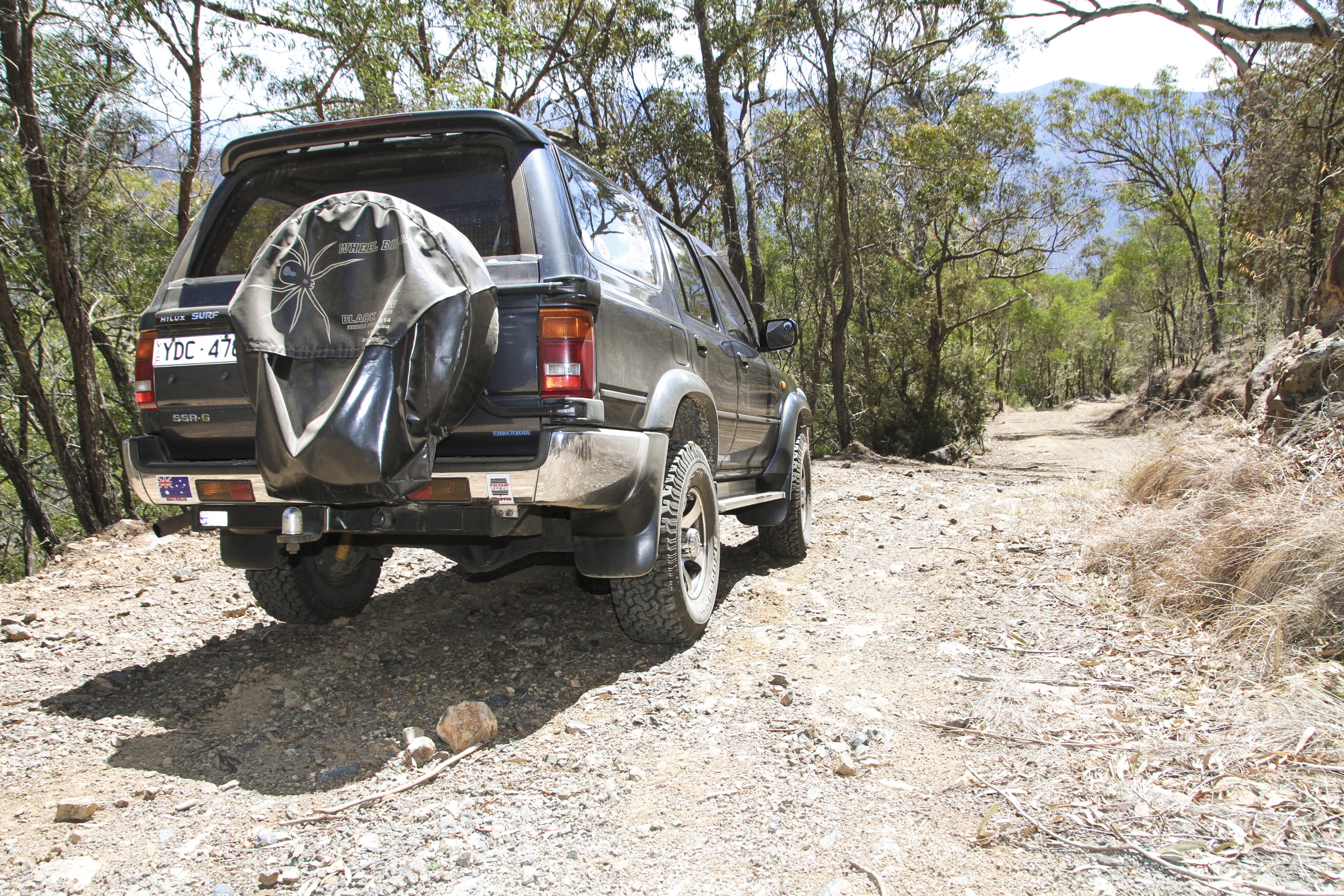 b6191505/oxley wild rivers national park 5 JPG