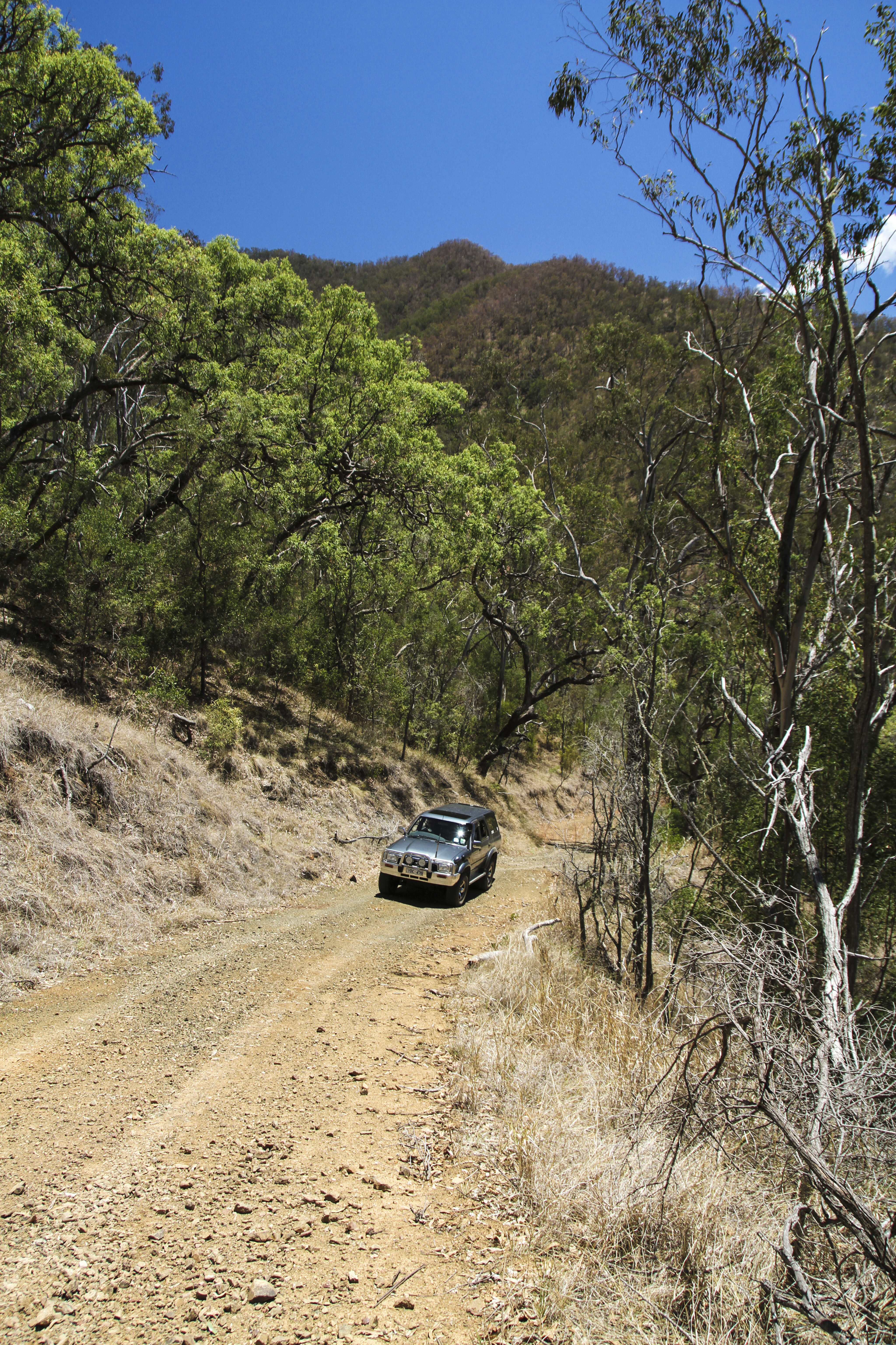 b6341509/oxley wild rivers national park 6 JPG