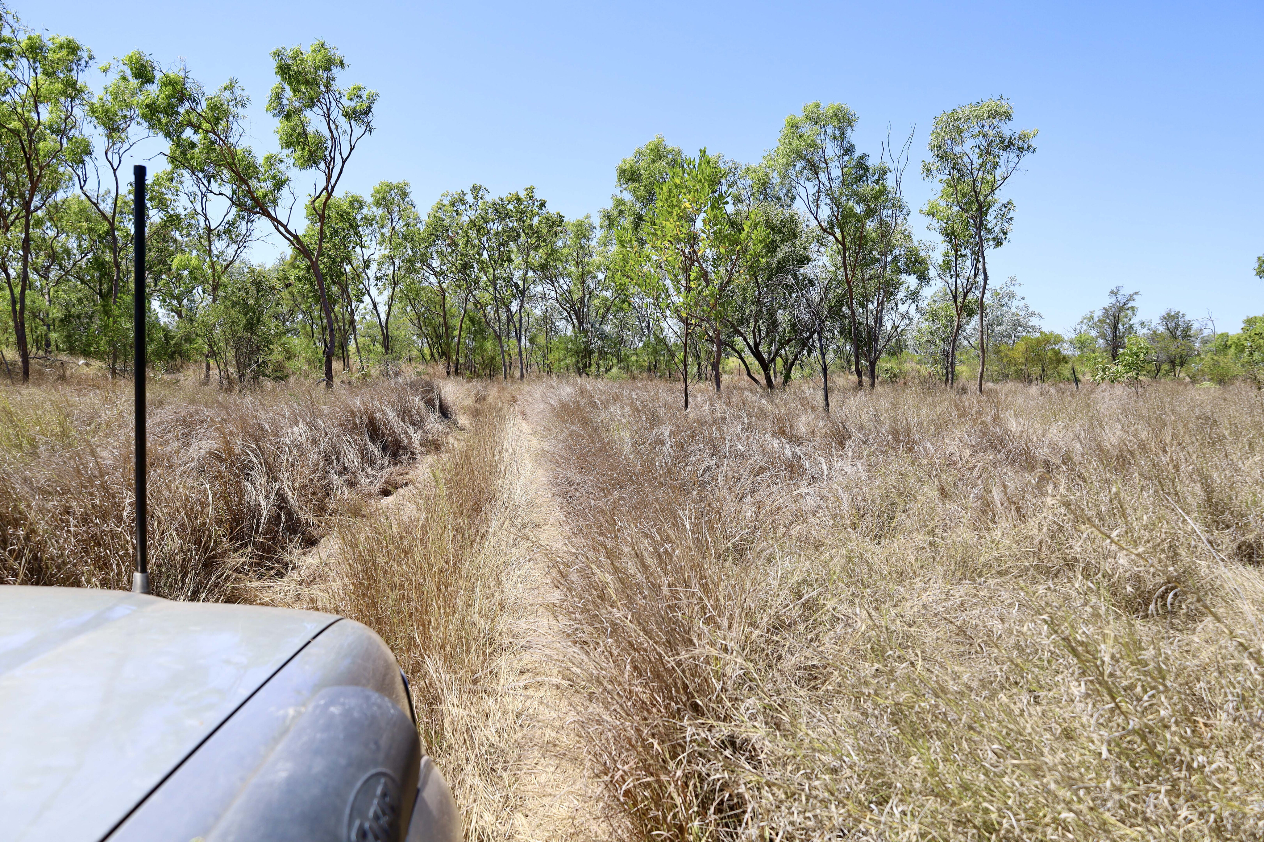 b66b1f7f/grassy broadarrow track 4x4 australia judbarra national park jpg