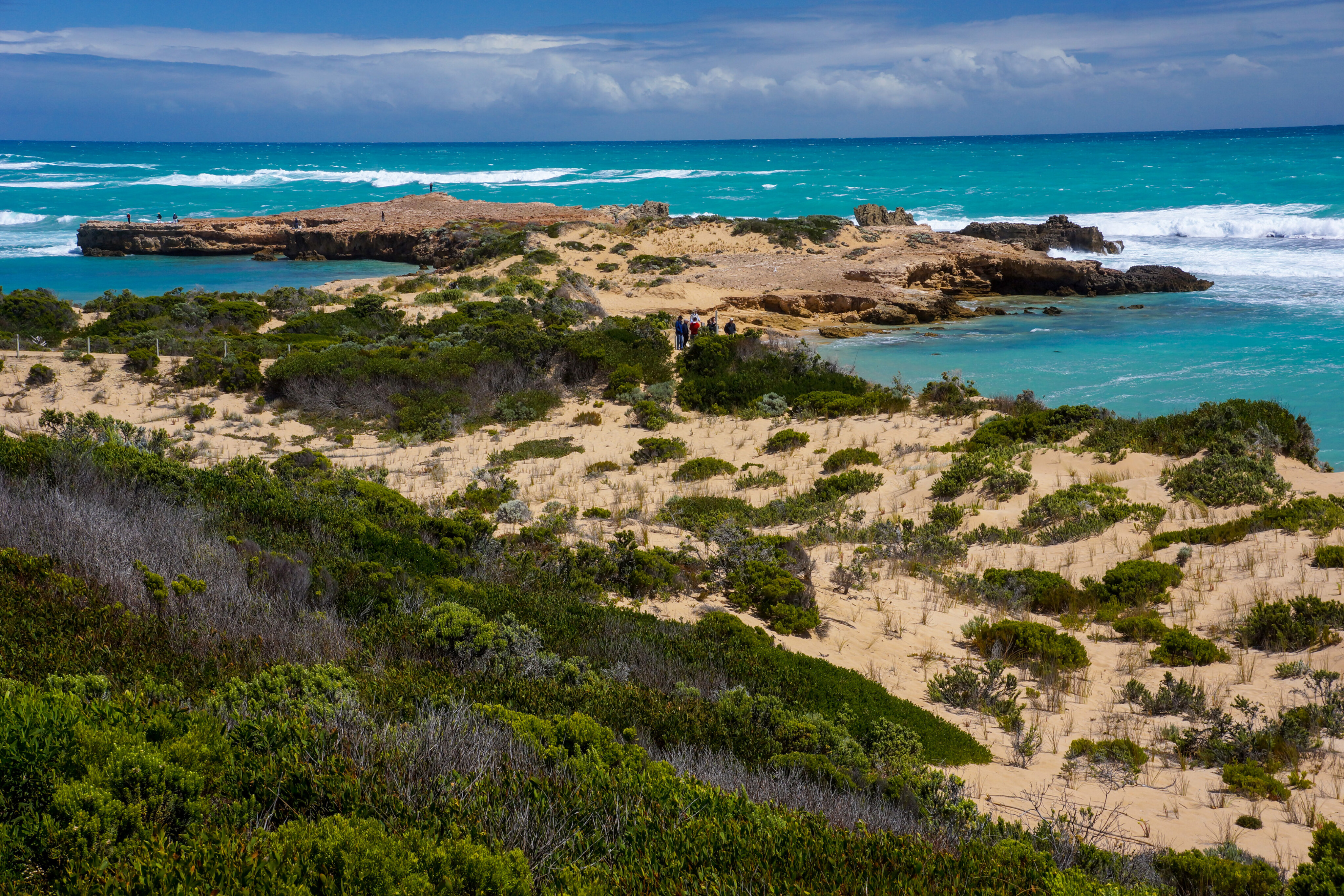 b7841908/robe r b010 rugged coastline around beachport jpg