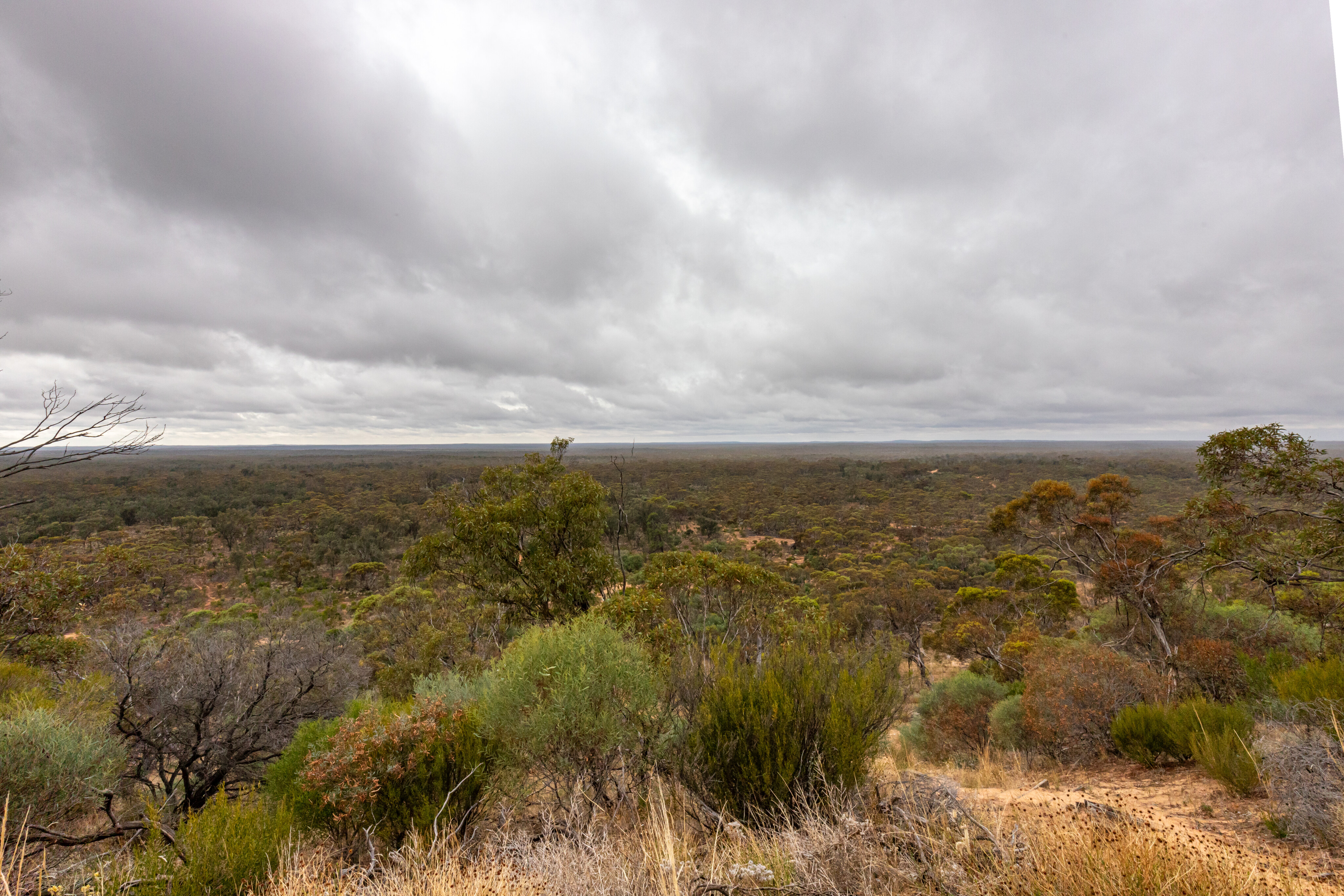 c09e1faf/murray sunset np the views from mt crozier weren t inspiring jpg