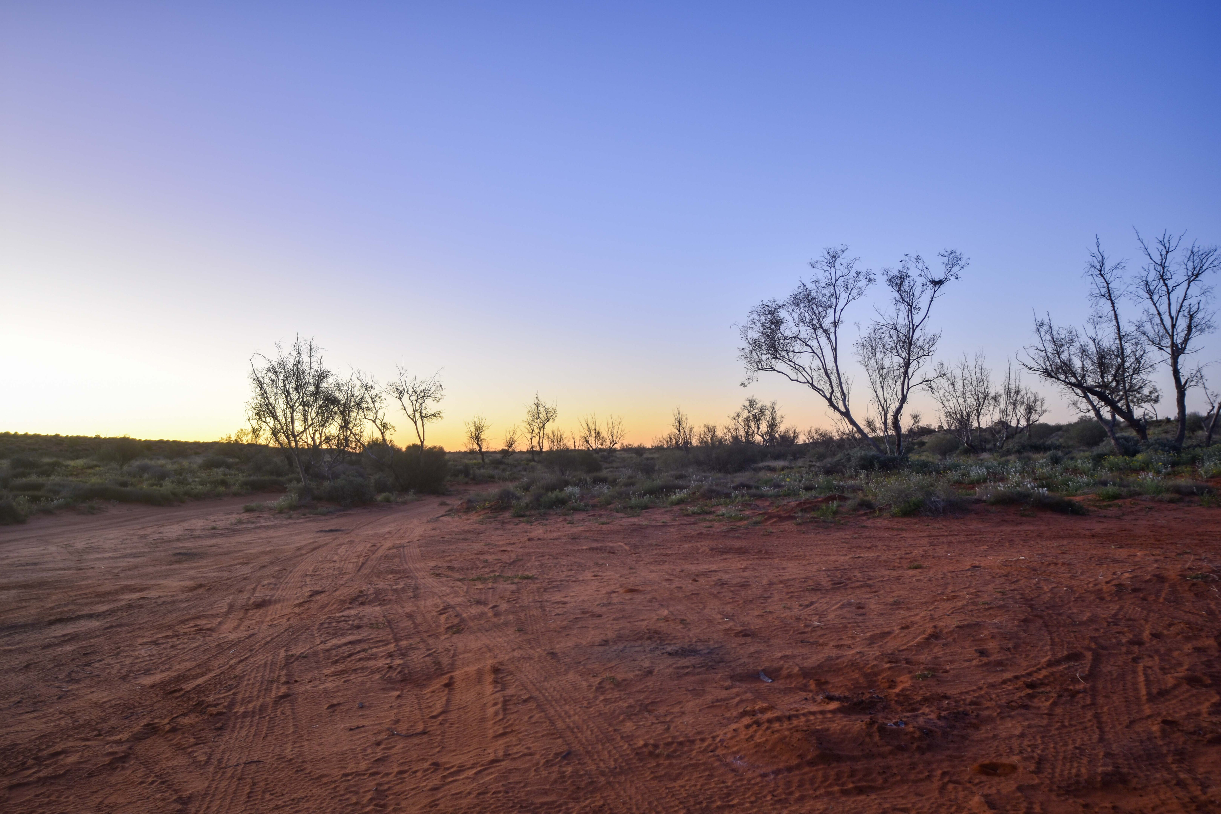 c16e190f/madigan trail another clear cold night ahead jpg