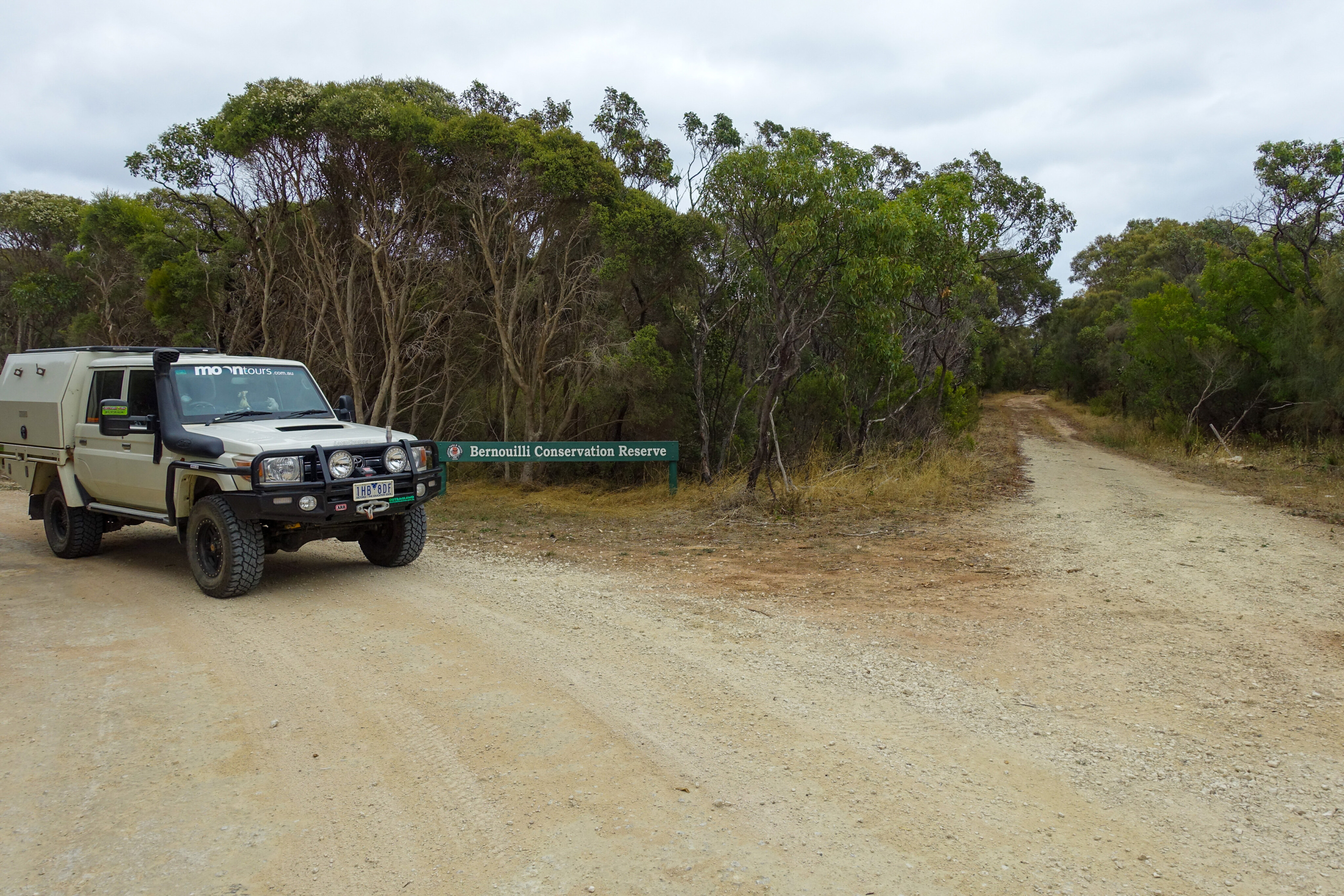 c4142292/robe r b037 at the northern end of the bernouilli conservation reserve jpg