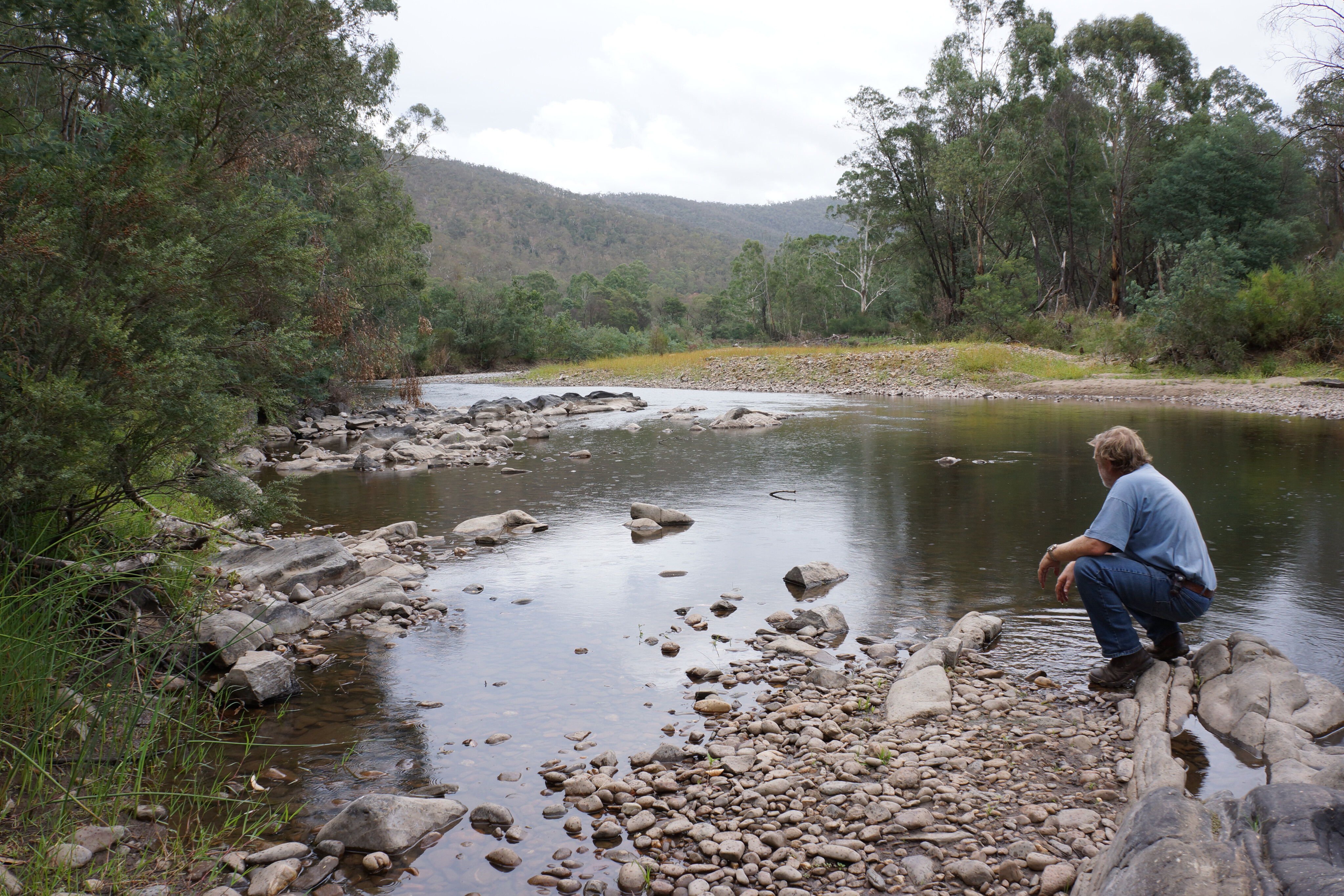 c5ab109e/alpine national park 2 JPG