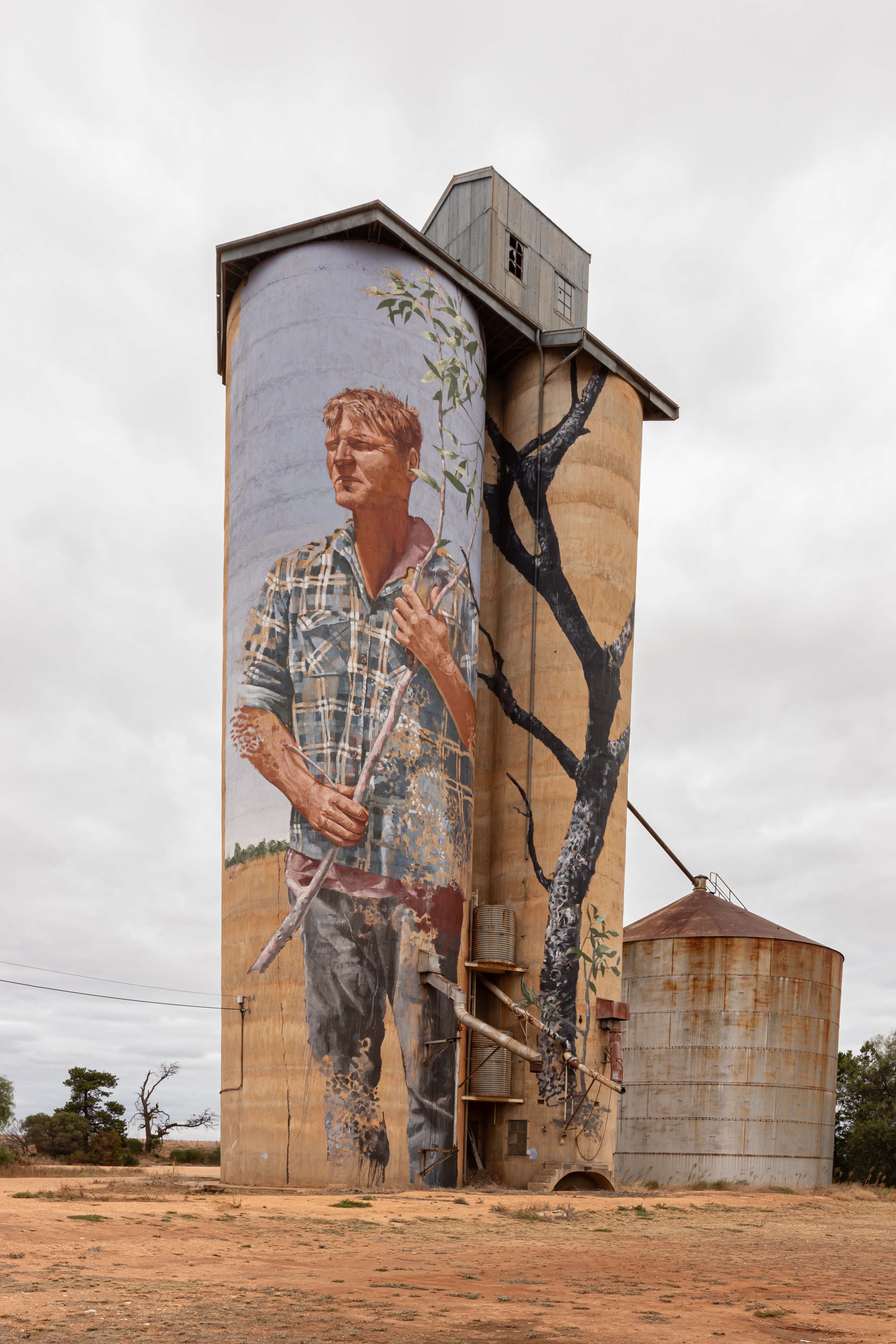 ca551cd8/the silo art in patchewollock is a popular attraction jpg