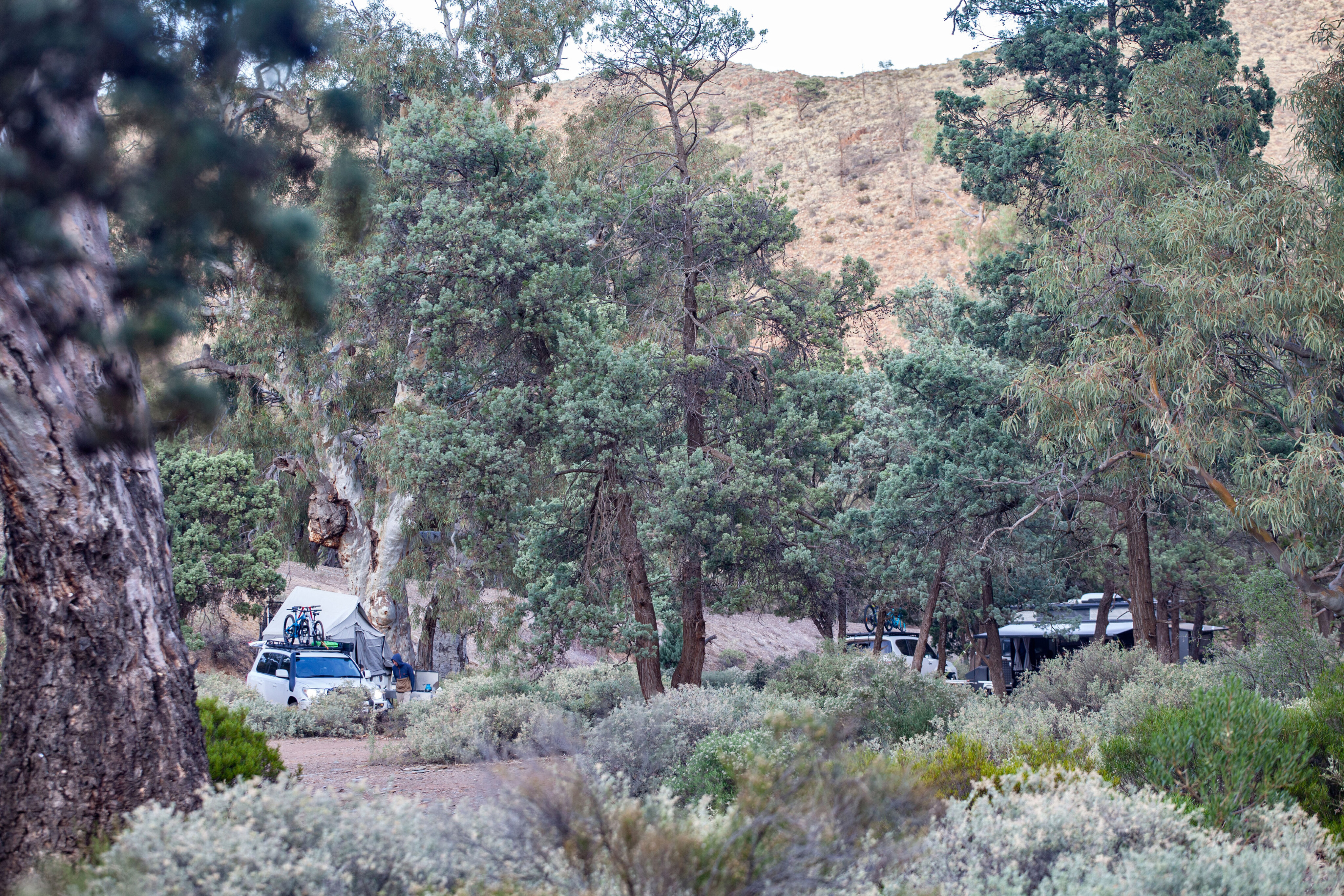 ca781c95/bendleby station 3220 secluded hidden valley campsites jpg