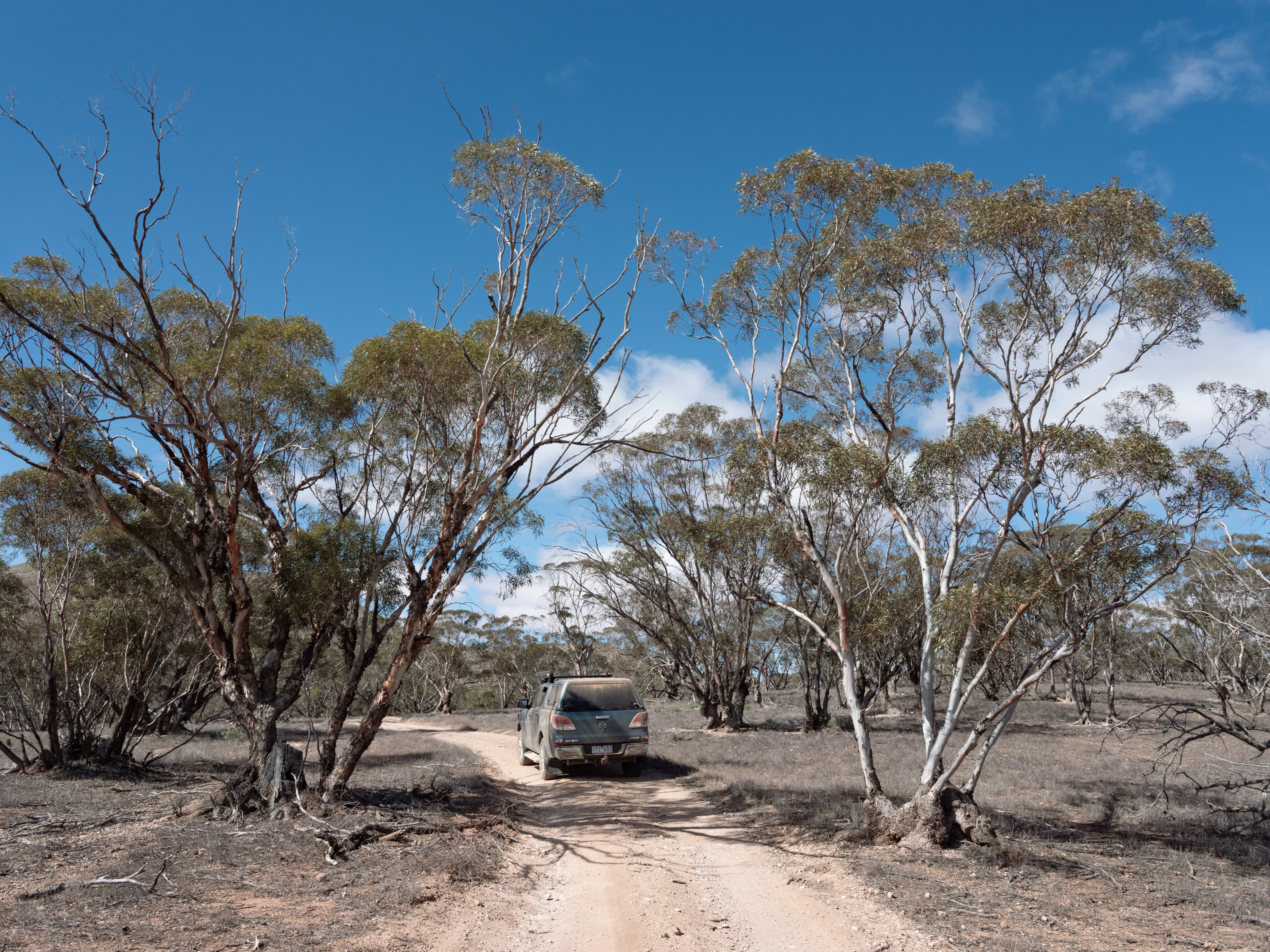 cf2b195c/bendleby station 2329 hungry ranges foothills jpg