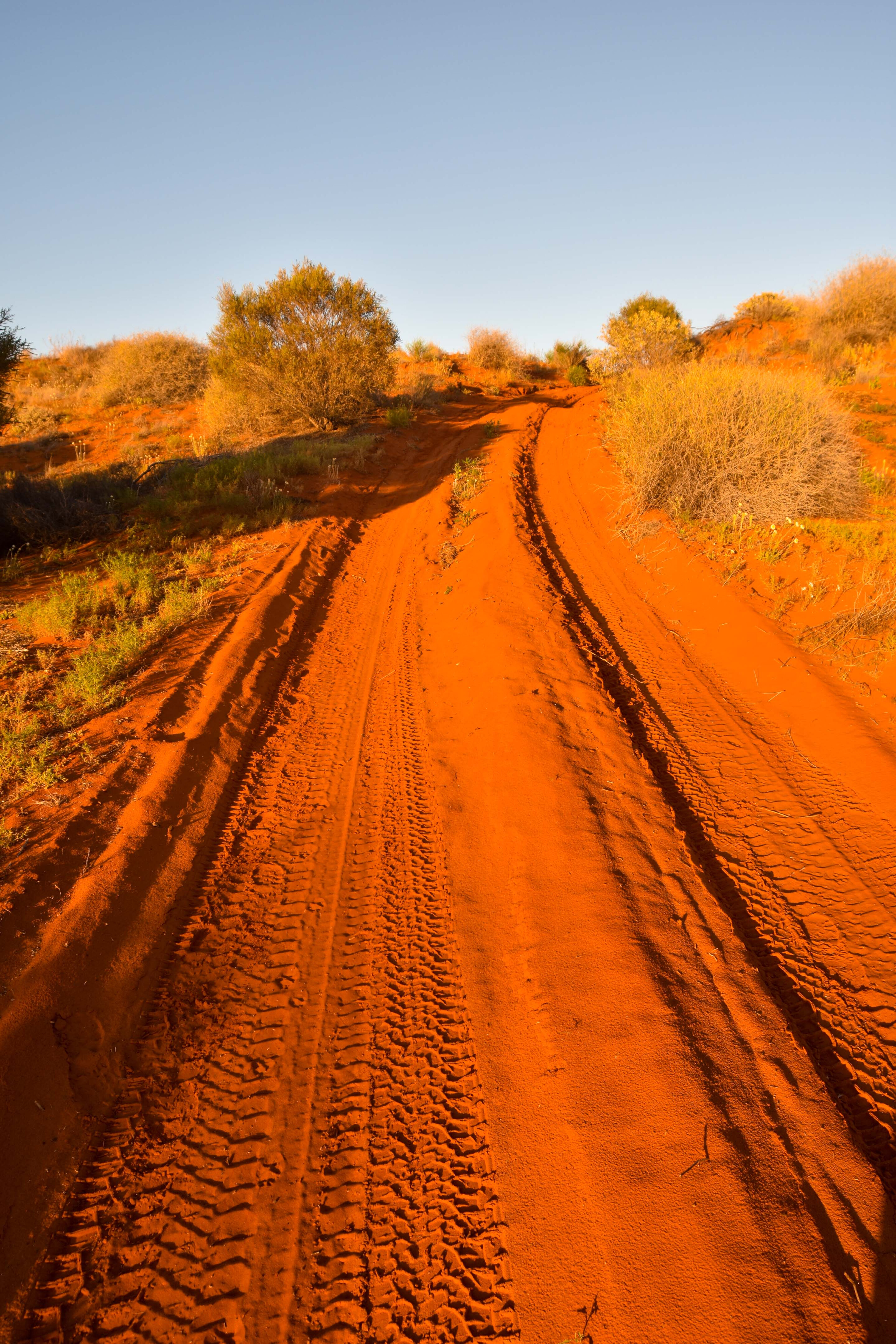 d0b41c88/madigan trail not all of the sand ridges are this easy jpg