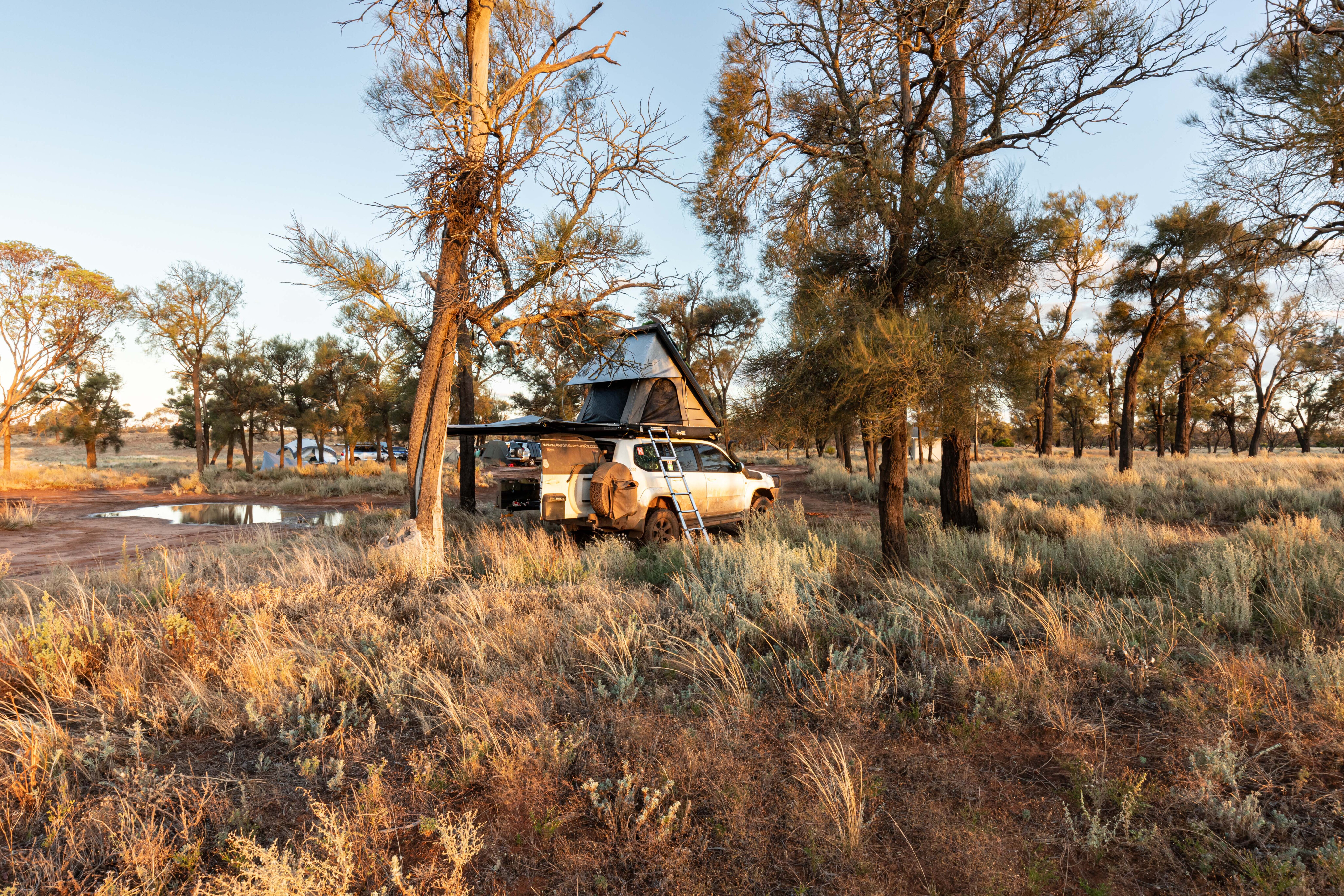 dae6299d/mopoke hut was sodden with many campers but once the rain stopped the sun came out again jpg