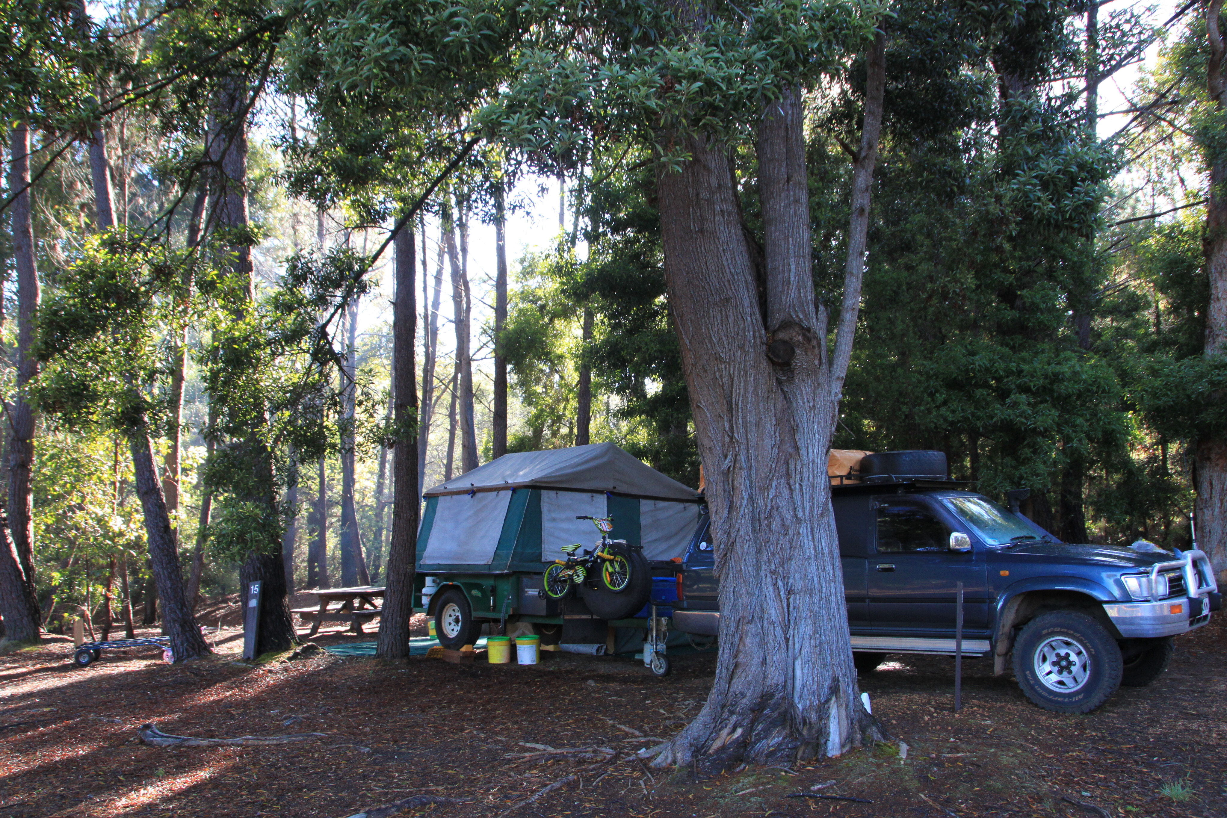 dd06111c/shannon national park 2 JPG