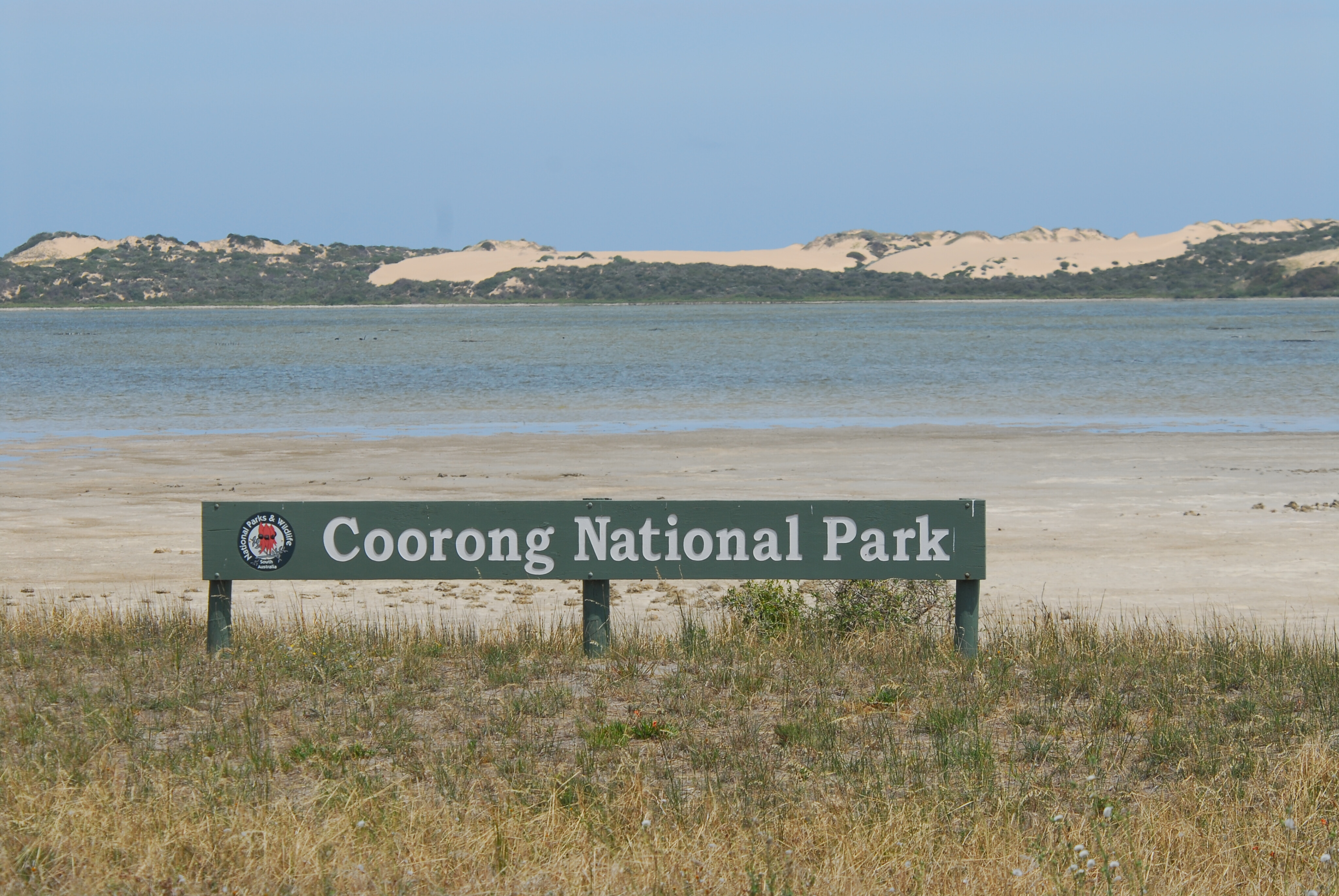 dda31125/coorong national park 5 JPG