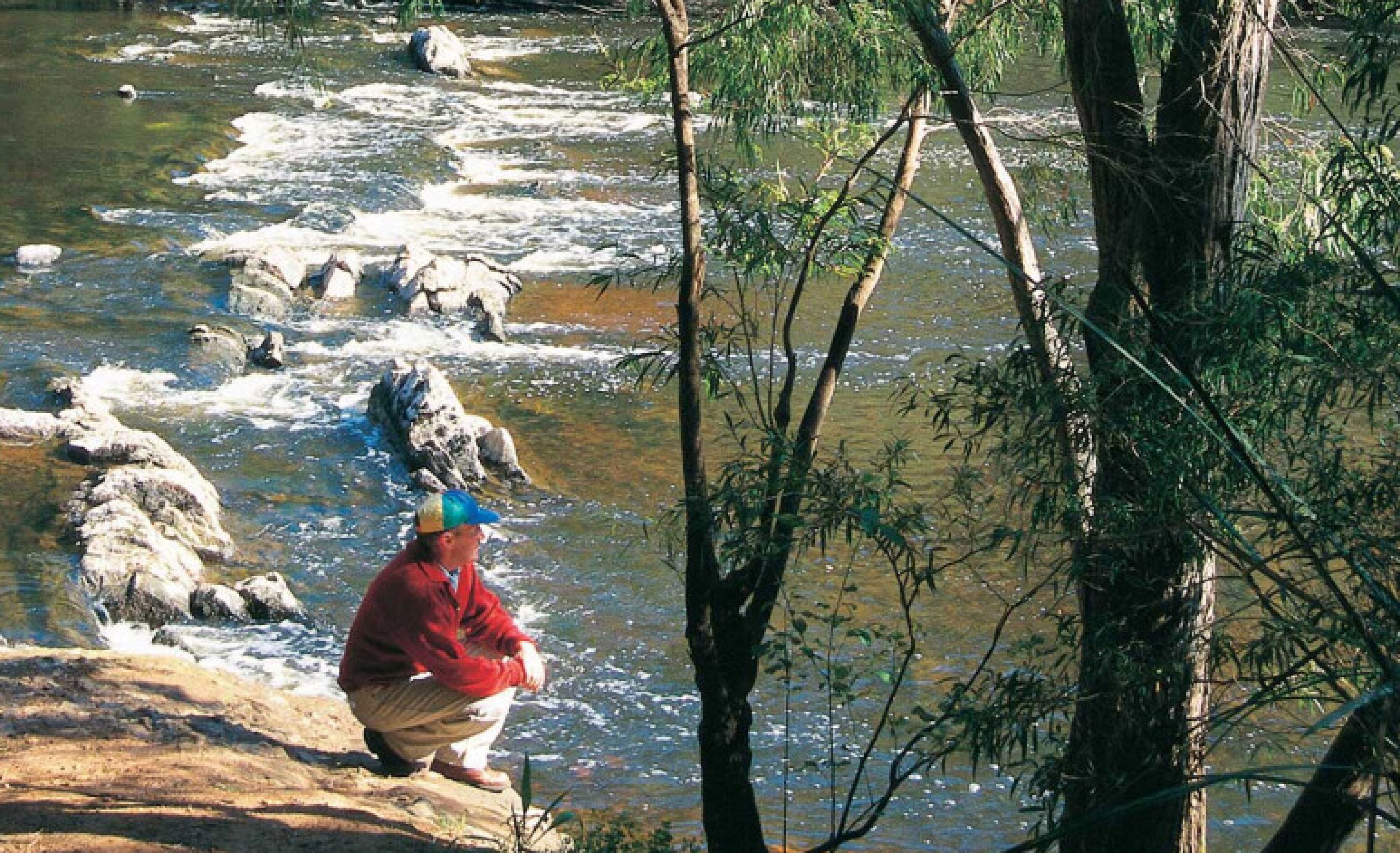 f3b1118b/walyunga national park 2 jpg