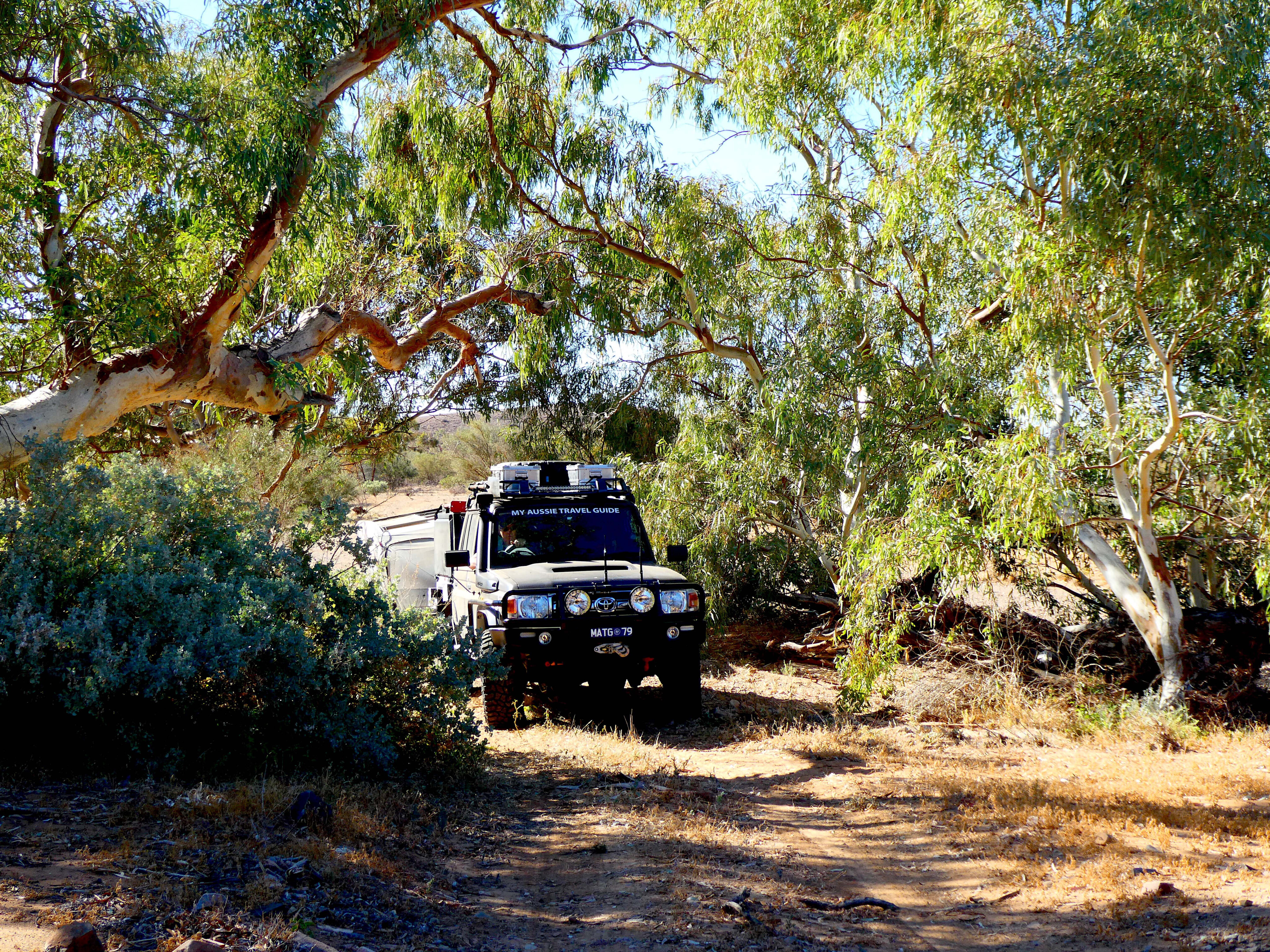 f4441cfd/matg 4x4 wit 23 4x4 australia witchelina track sa explore jpg