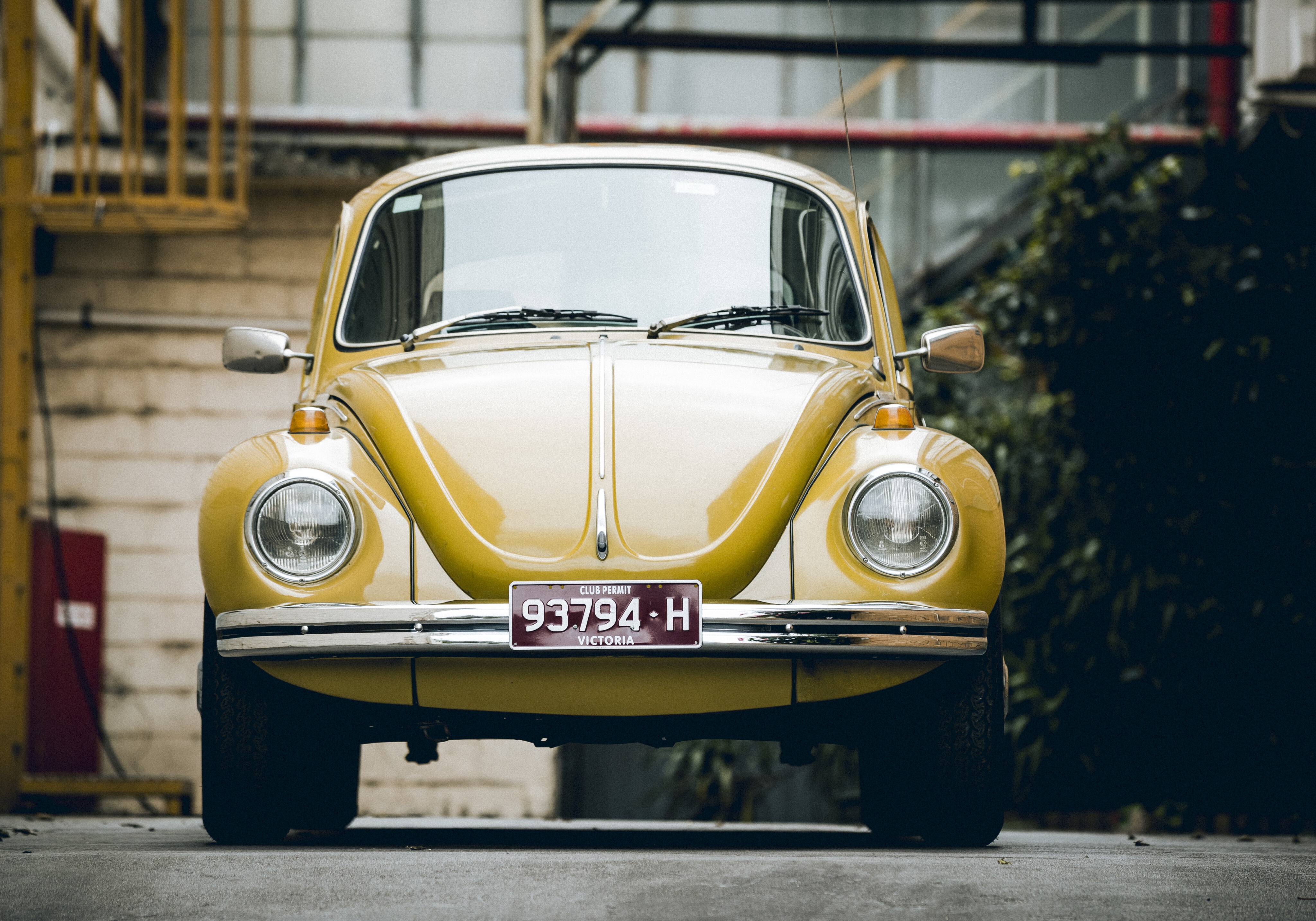 f4b01191/volkswagen beetle type 1 jpg