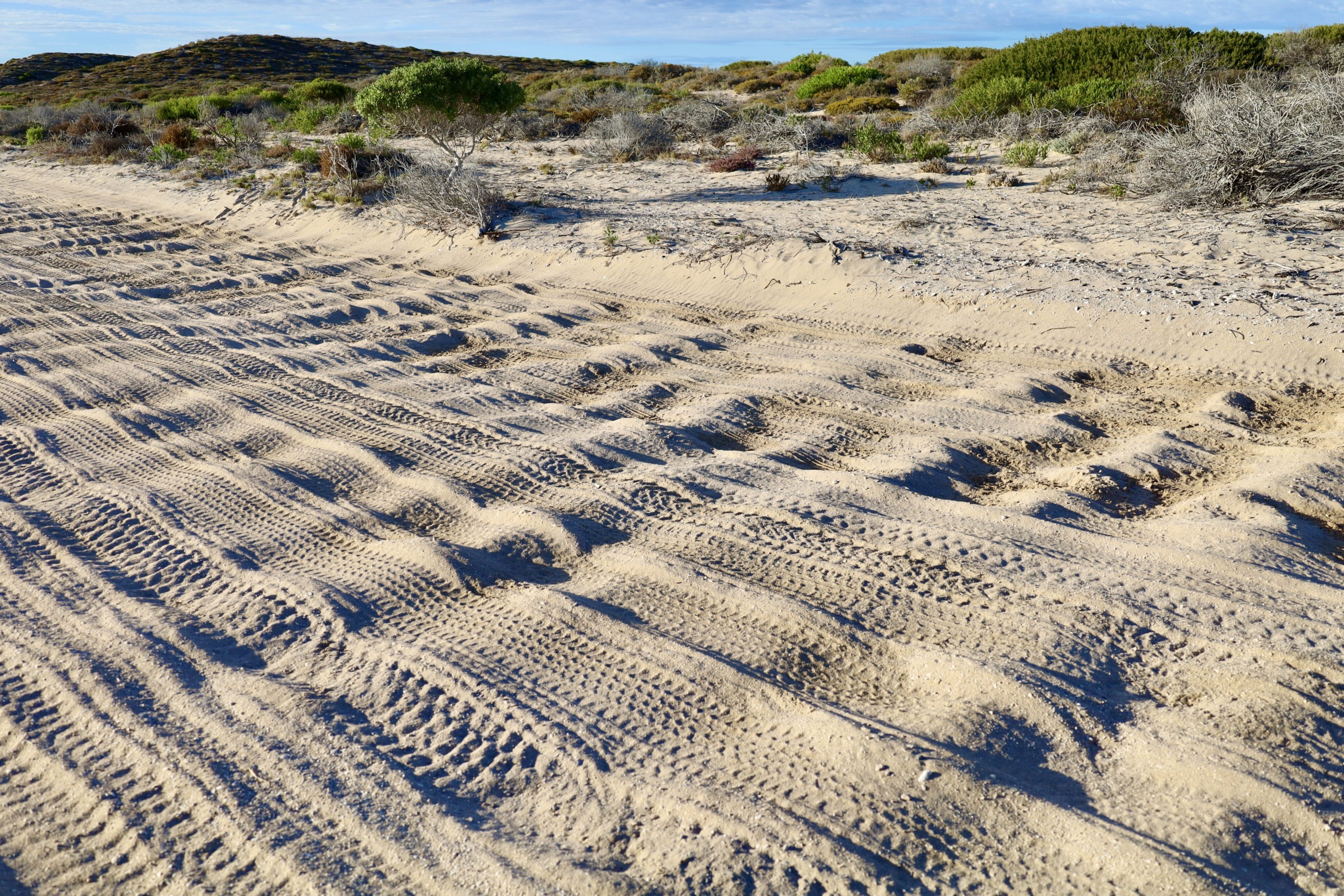 fc3a1d14/corragated roads 4x4 australia dirk hartog island np wa JPG