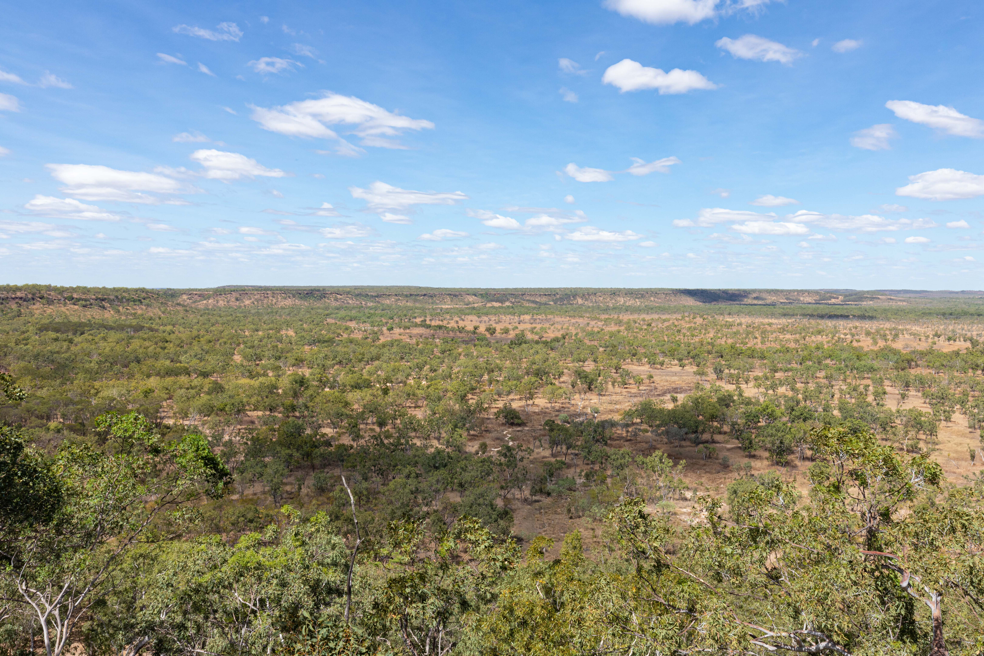 fe59257c/epic views from jurassic park lookout explore east arnhem land 4x4 australia jpg