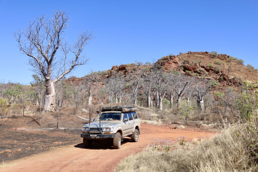 16591d88/boabs everywhere wyndham and kununurra wa 4x4 australia jpg